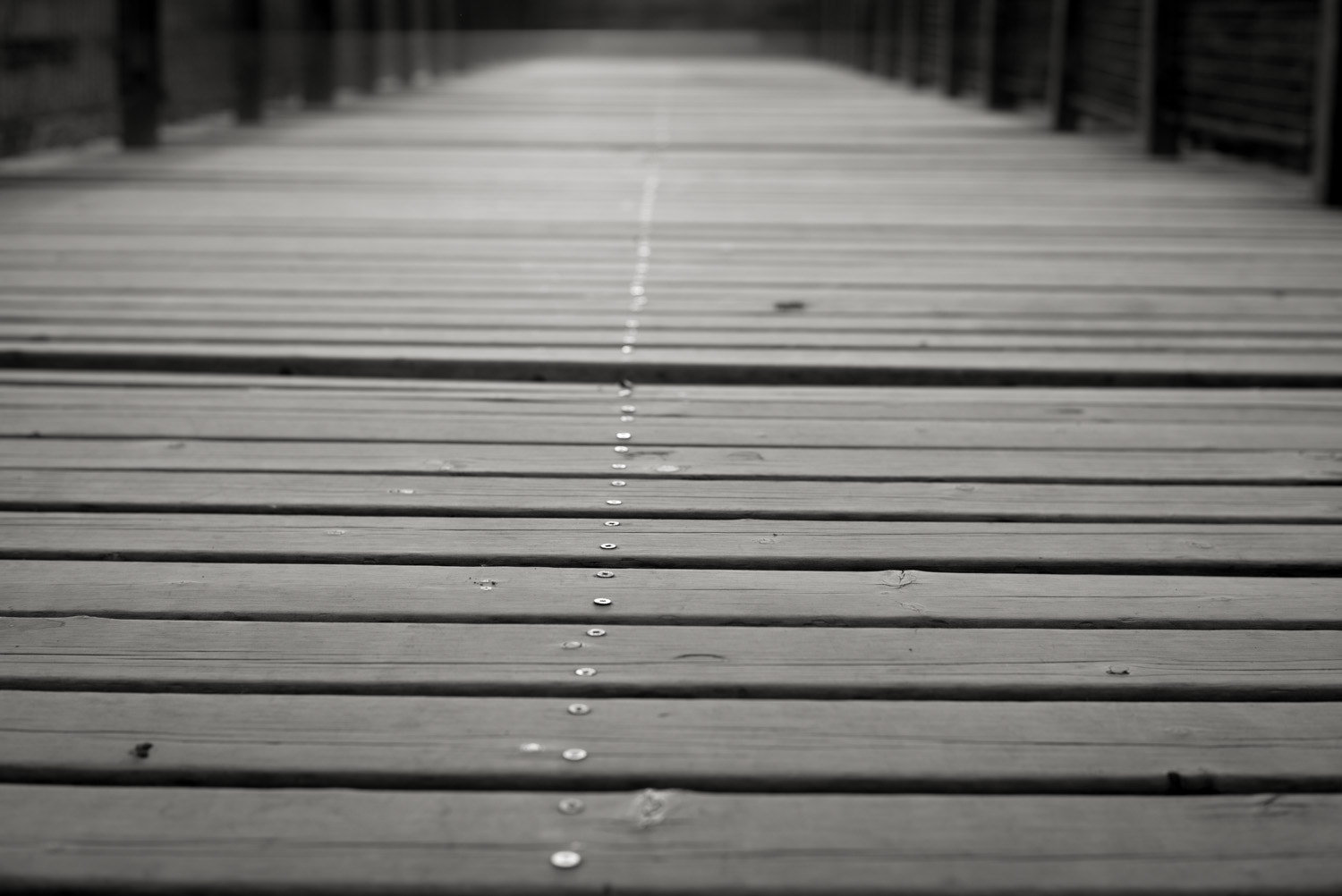 Summicron-M 1:2/35 sample photo. The wood photography