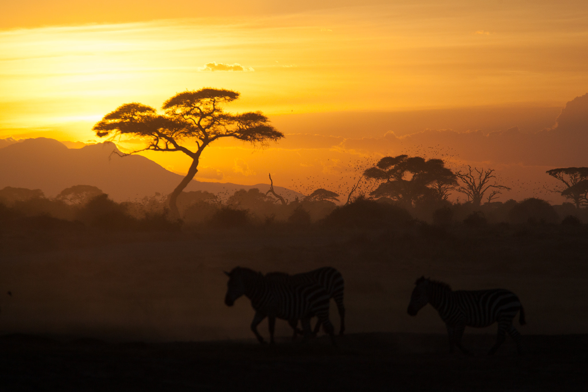 Canon EF 70-200mm F4L USM sample photo. Tramonto all'amboseli photography