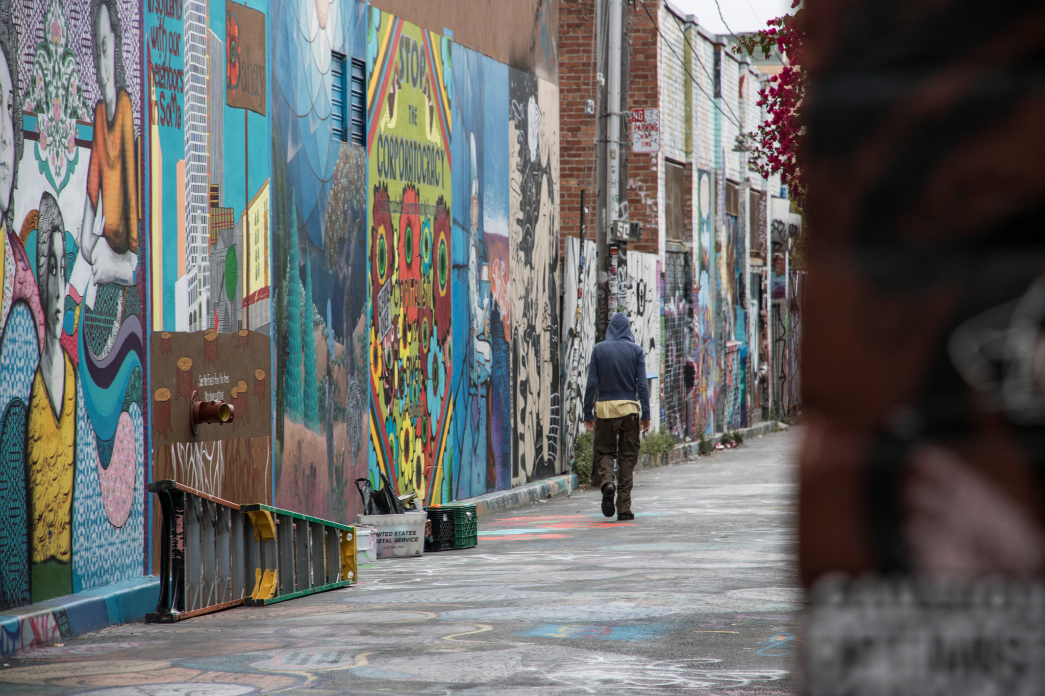 Canon EOS 760D (EOS Rebel T6s / EOS 8000D) sample photo. San fran's graffiti photography