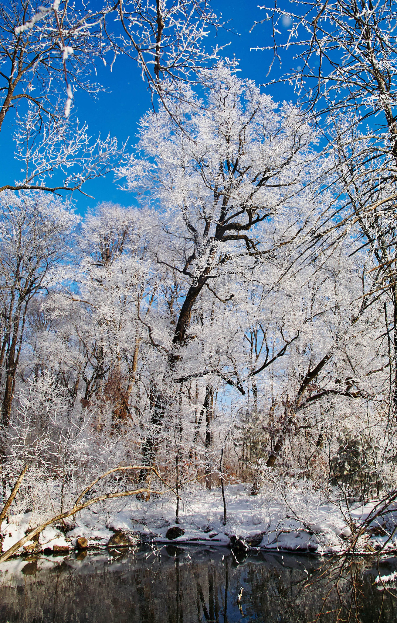 Canon EOS 5D + Canon EF 20-35mm f/2.8L sample photo. 副本 photography