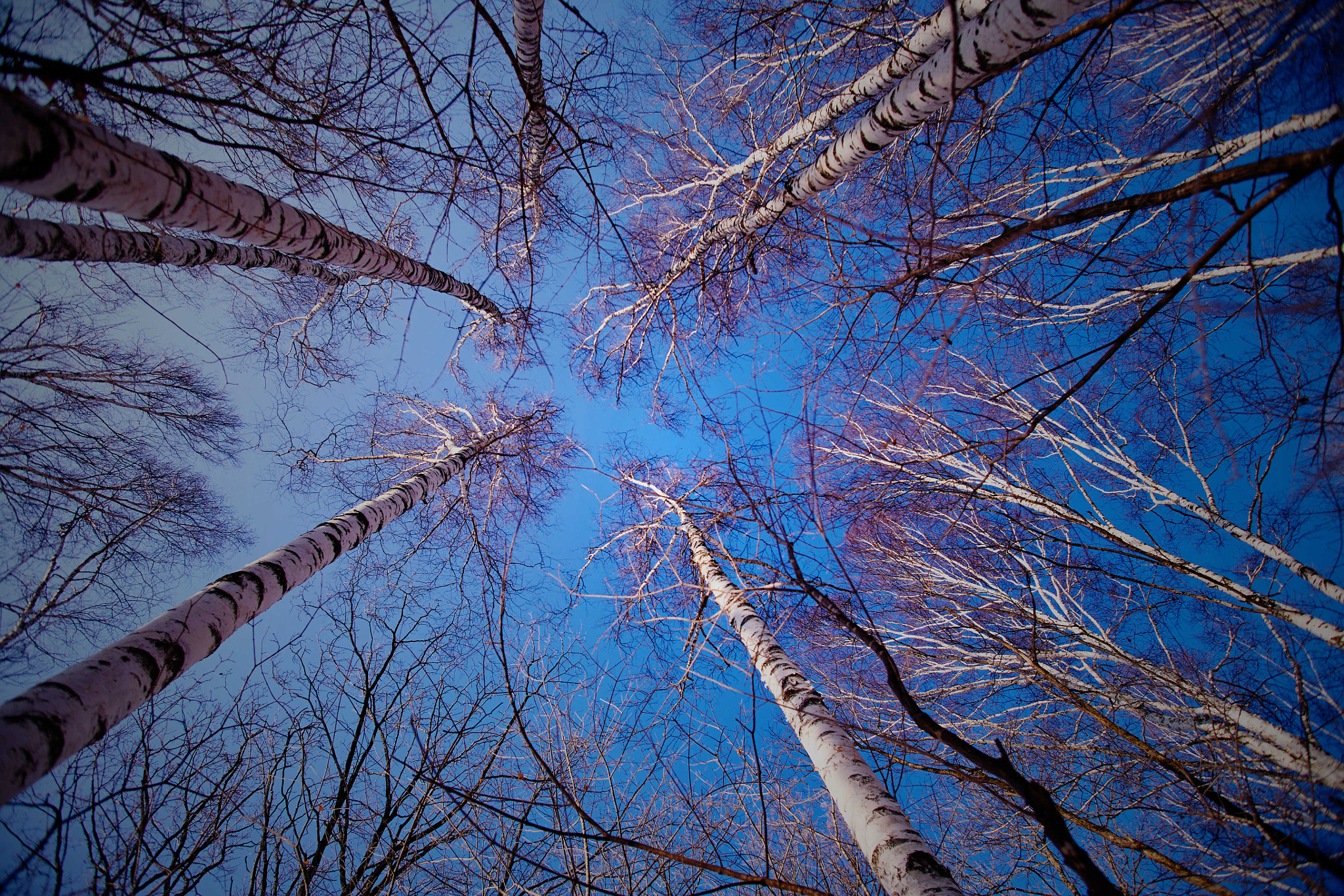 Canon EOS 5D + Canon EF 20-35mm f/2.8L sample photo. 副本 photography