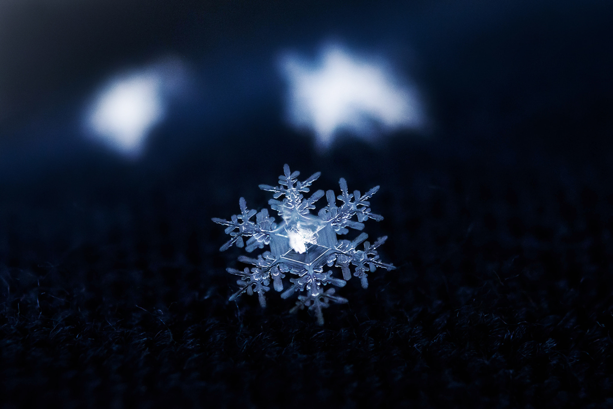 Nikon D5200 sample photo. Snow crystal 1/11 photography