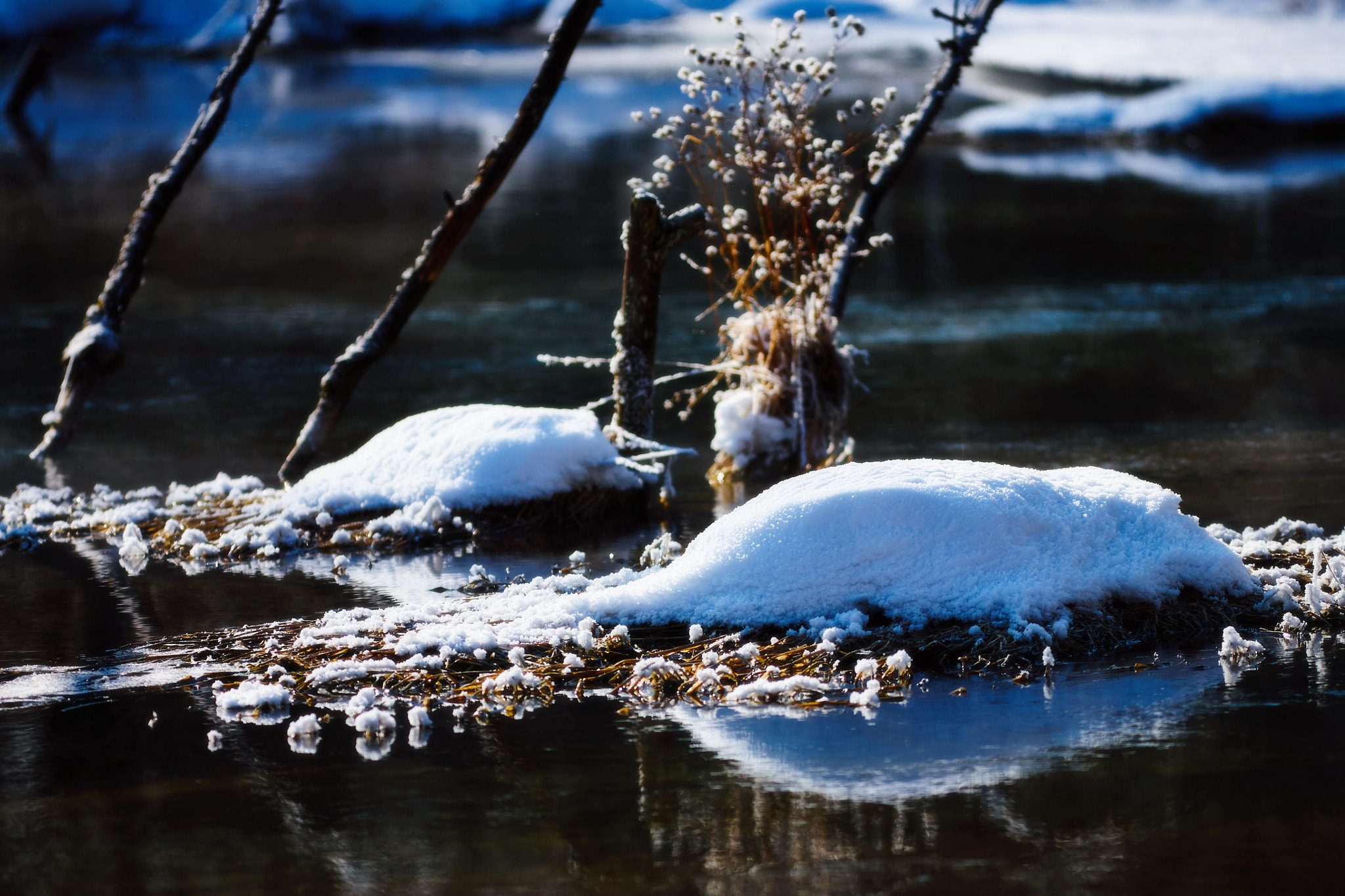 Canon EOS 5D + Canon EF 300mm F4L IS USM sample photo. 副本 photography