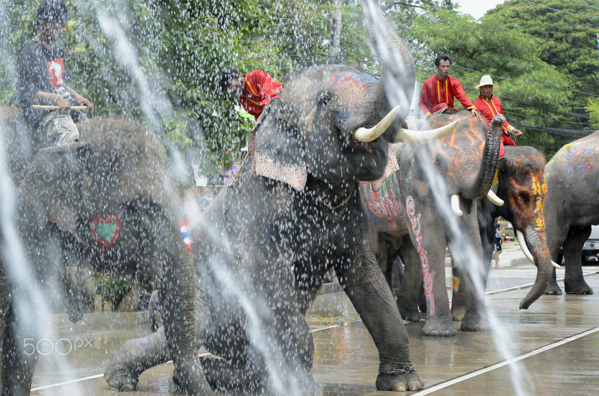 ASIA THAILAND AYUTTHAYA SONGKRAN FESTIVAL