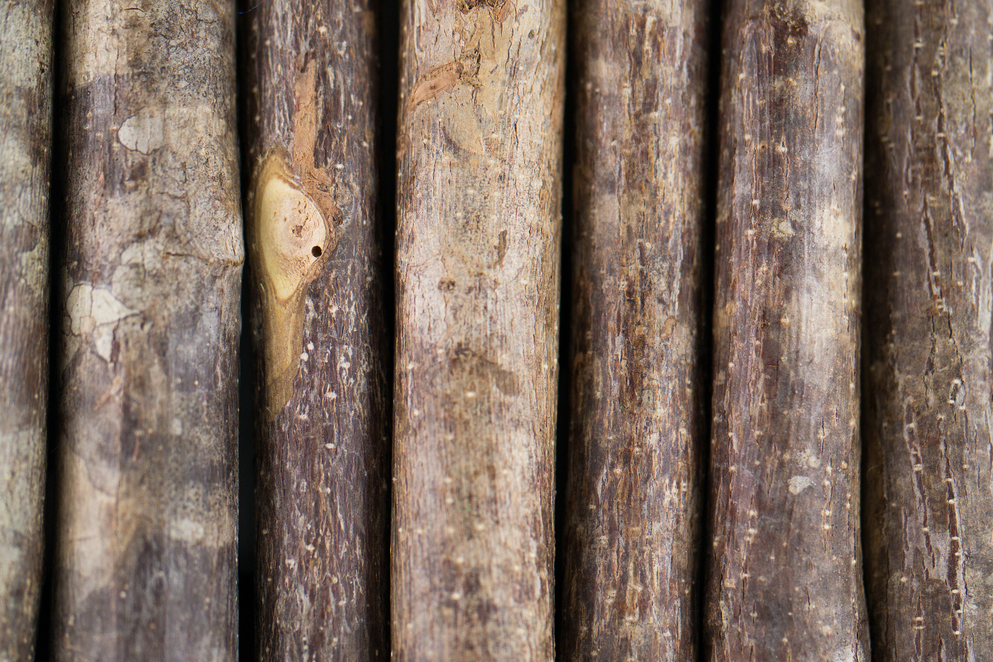 Samsung NX300 + Samsung NX 60mm F2.8 Macro ED OIS SSA sample photo. Sam_3257.jpg photography