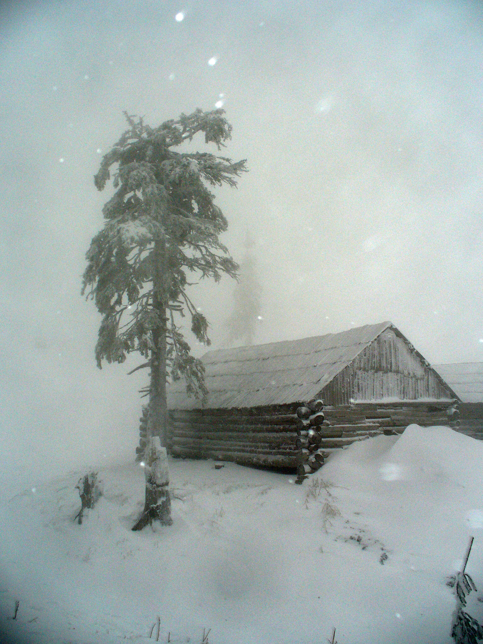 Panasonic DMC-LZ2 sample photo. The fog and snow in the carpathian mountains photography