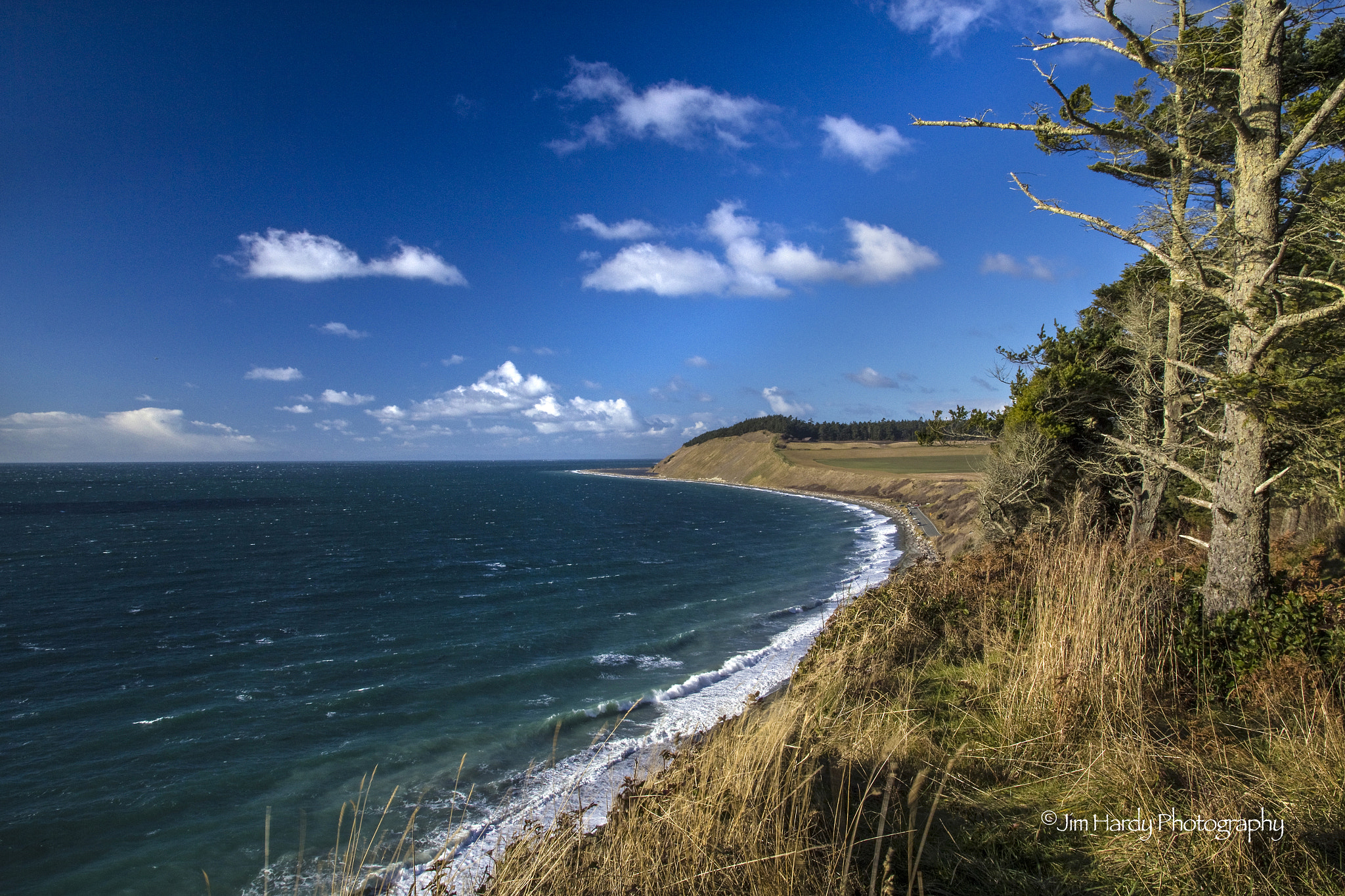 Canon EOS 550D (EOS Rebel T2i / EOS Kiss X4) sample photo. Ebey's landing wayside photography