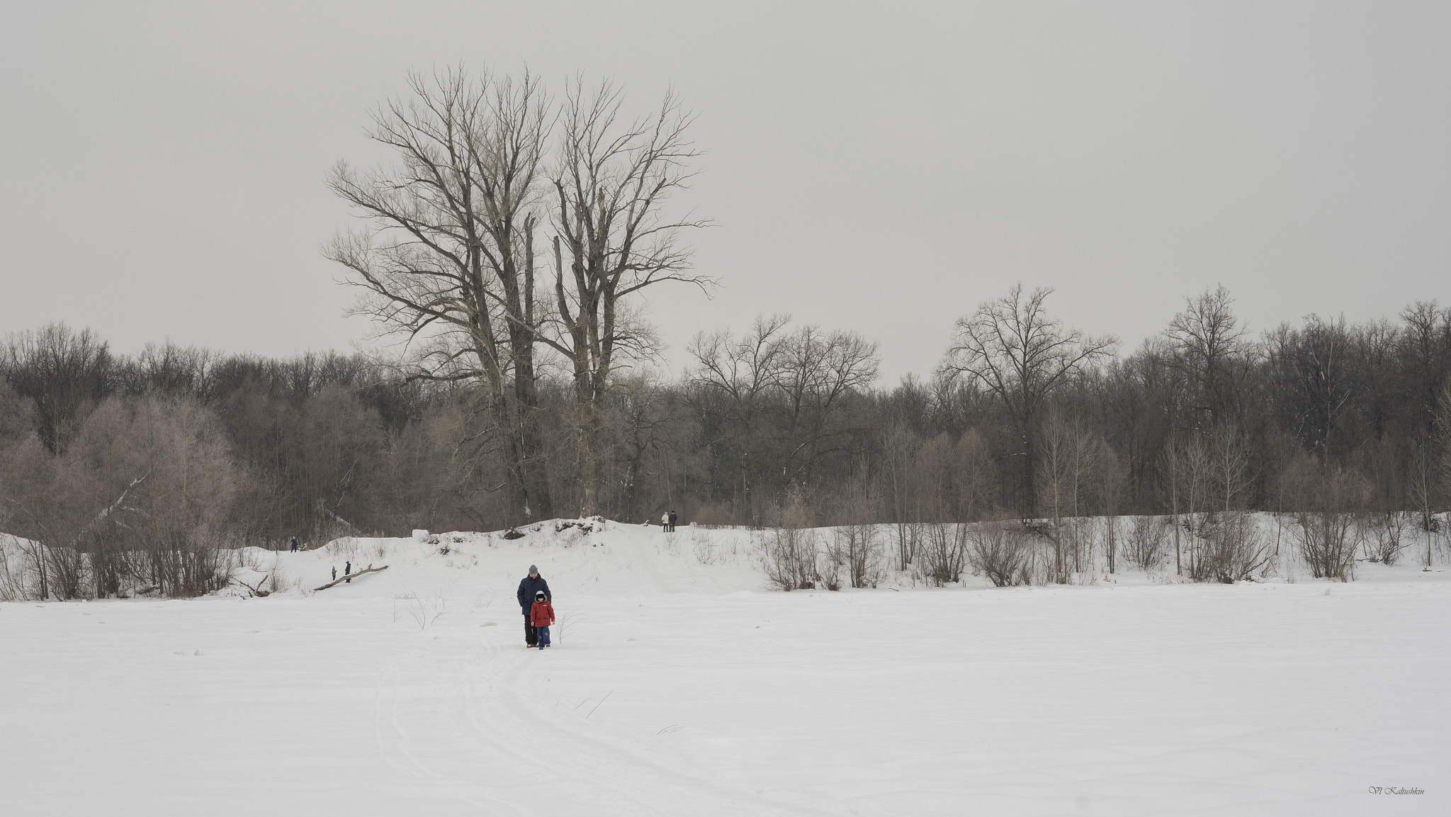 Sony a7 + Sony 50mm F1.4 sample photo. Russian winter photography