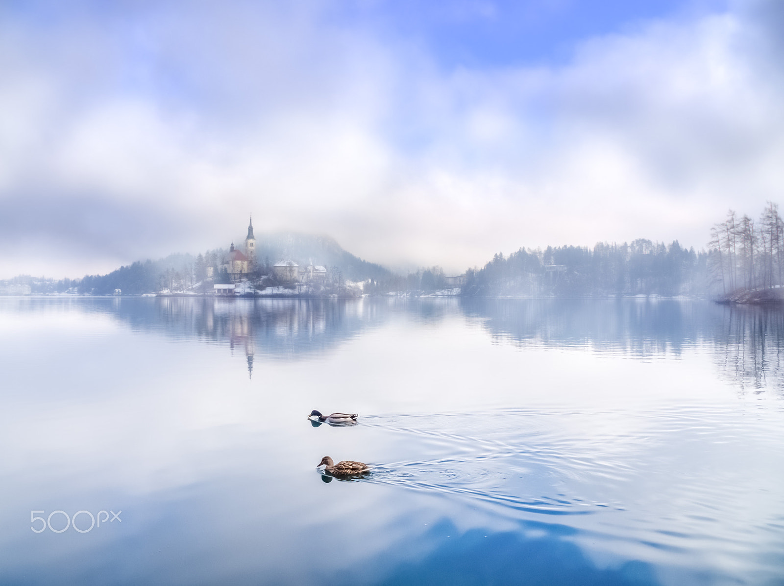 Olympus OM-D E-M10 sample photo. Morning fog photography