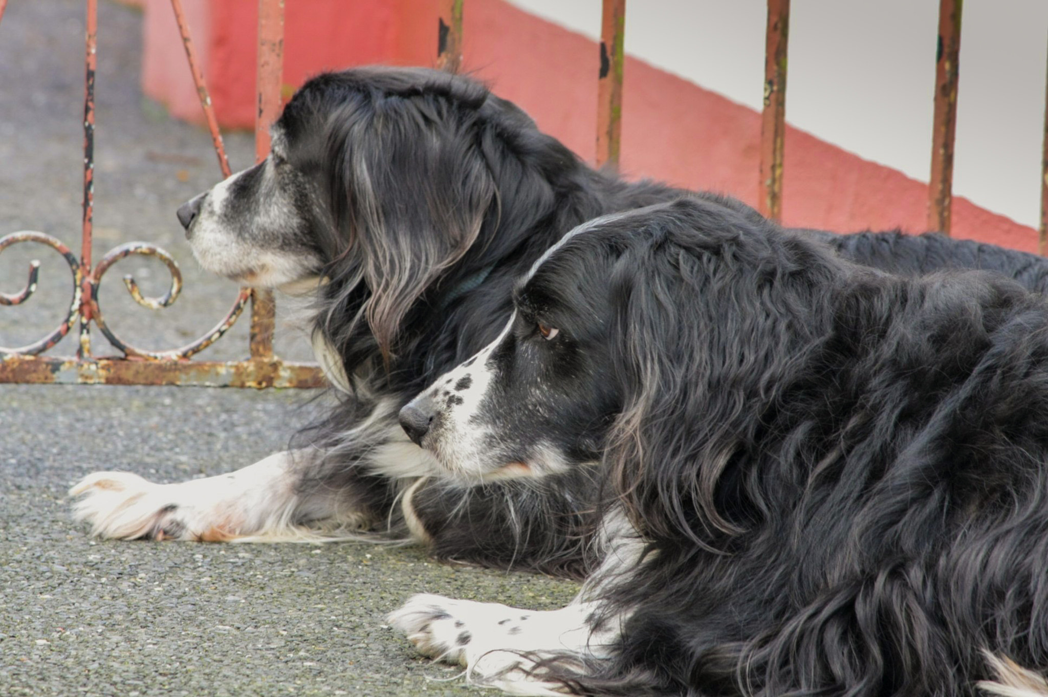 Canon EOS 40D sample photo. They are late again ! photography