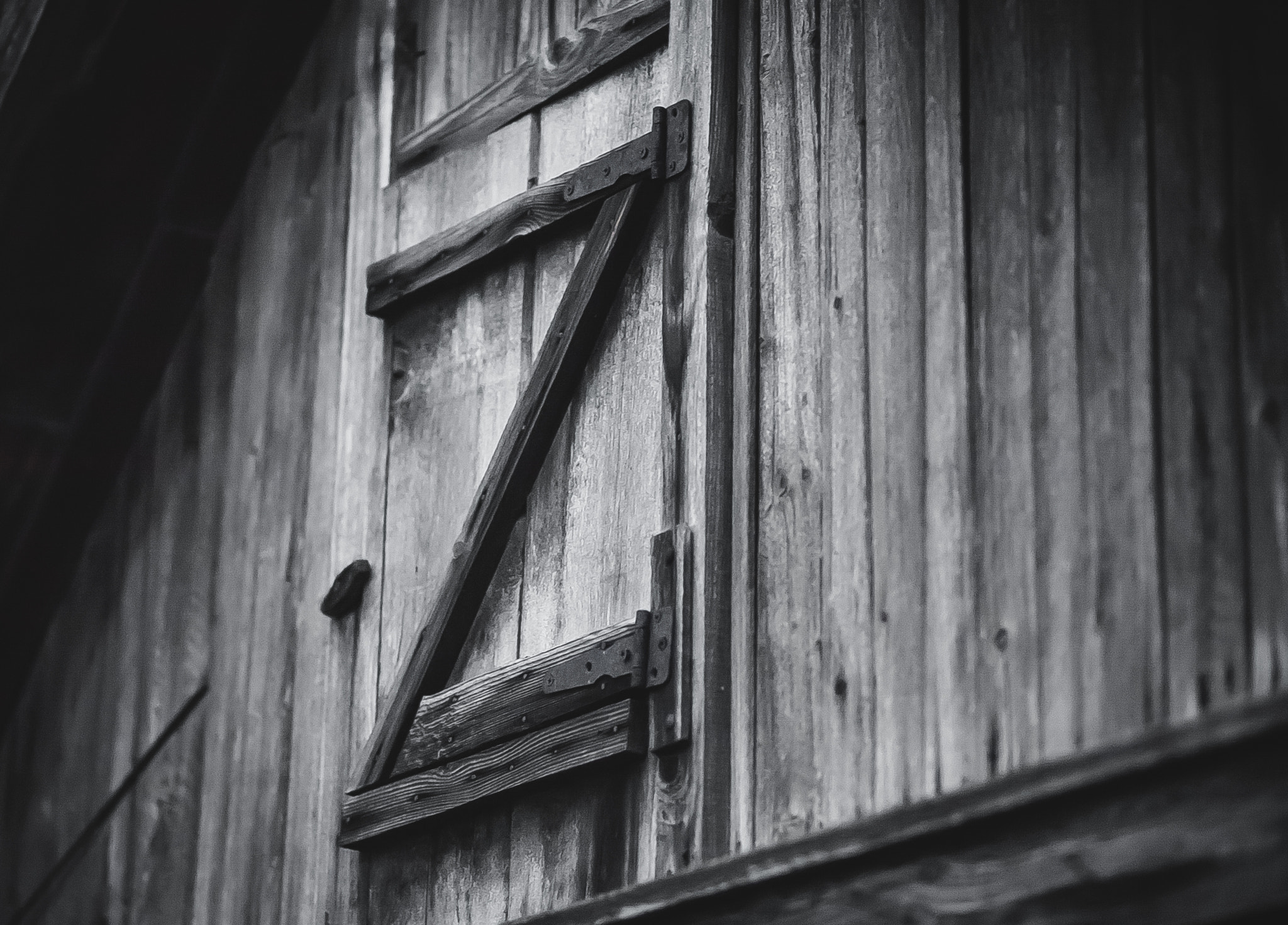 Canon EOS 5D + Canon EF 100mm F2.0 USM sample photo. Z photography