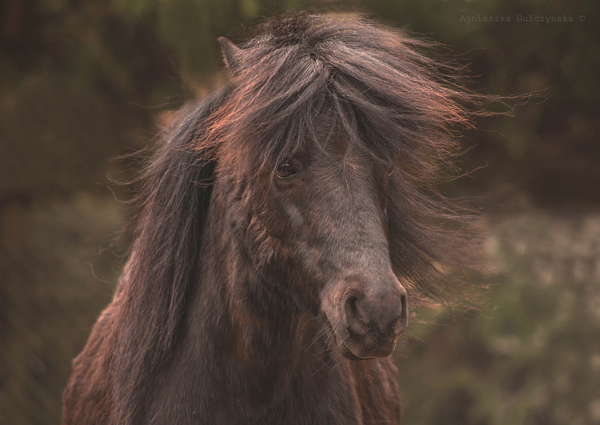 Canon EF 100-300mm F4.5-5.6 USM sample photo. W i t e k photography