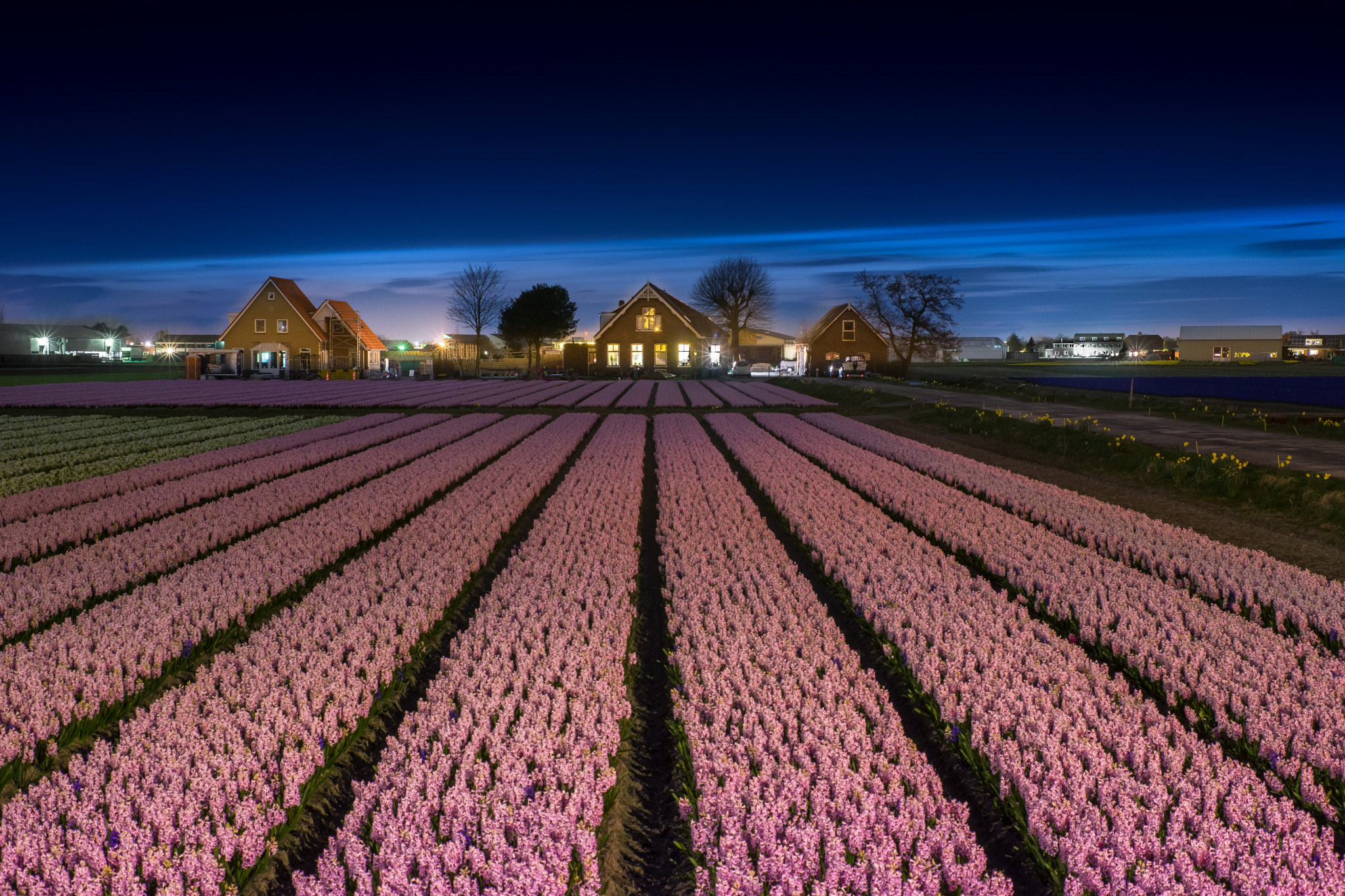 Sigma ZOOM-alpha 35-135mm F3.5-4.5 sample photo. Bulbfield by night photography