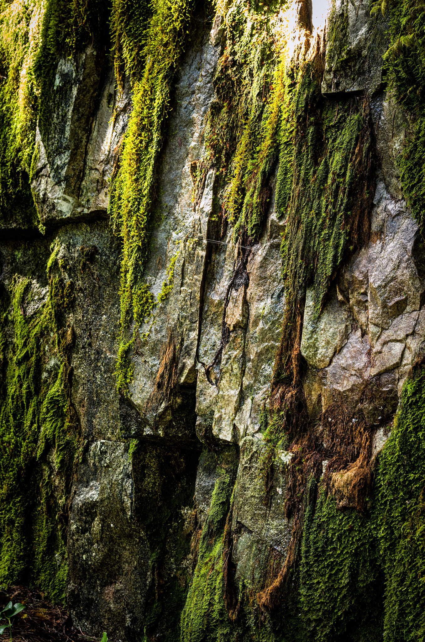 Pentax K-5 II sample photo. Texture photography