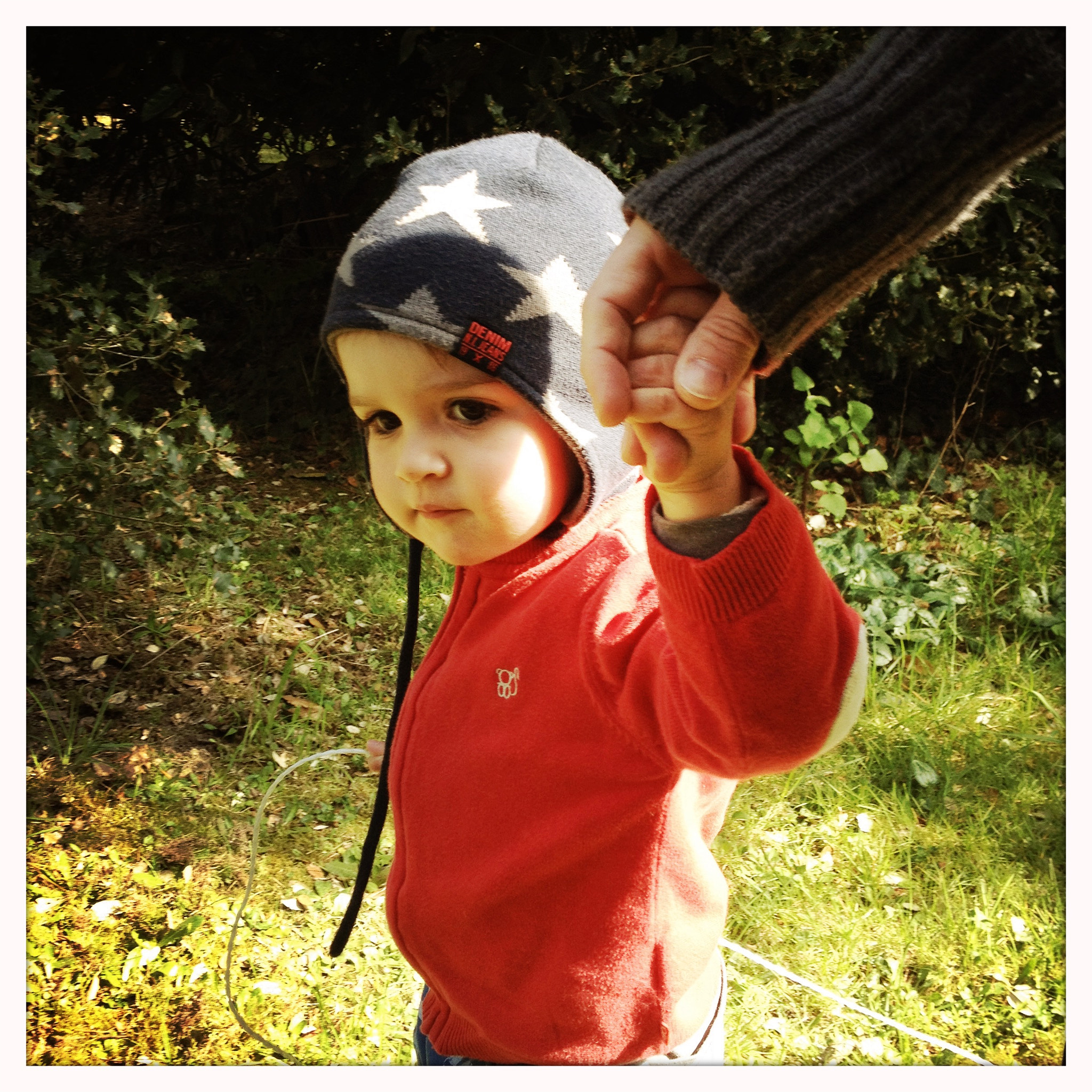 Hipstamatic 311 sample photo. Jardin maman photography
