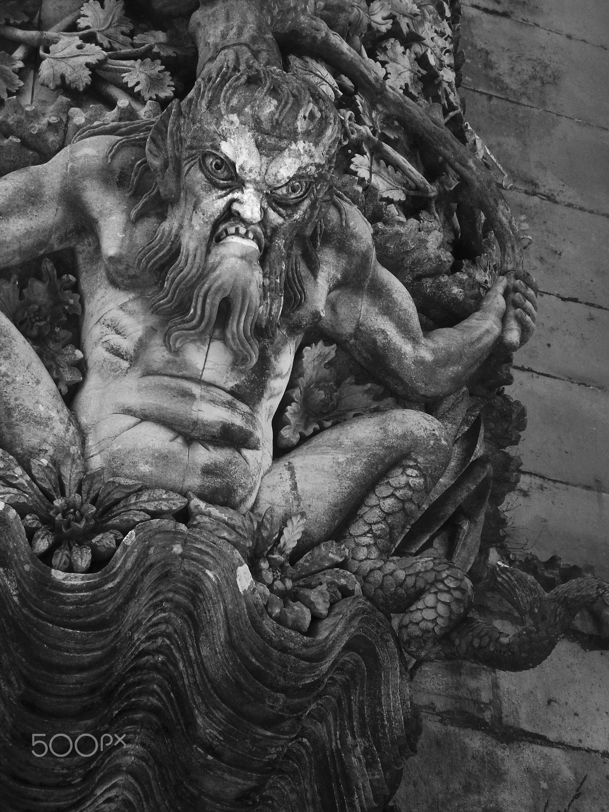 Olympus VG120,D705 sample photo. Triton photography