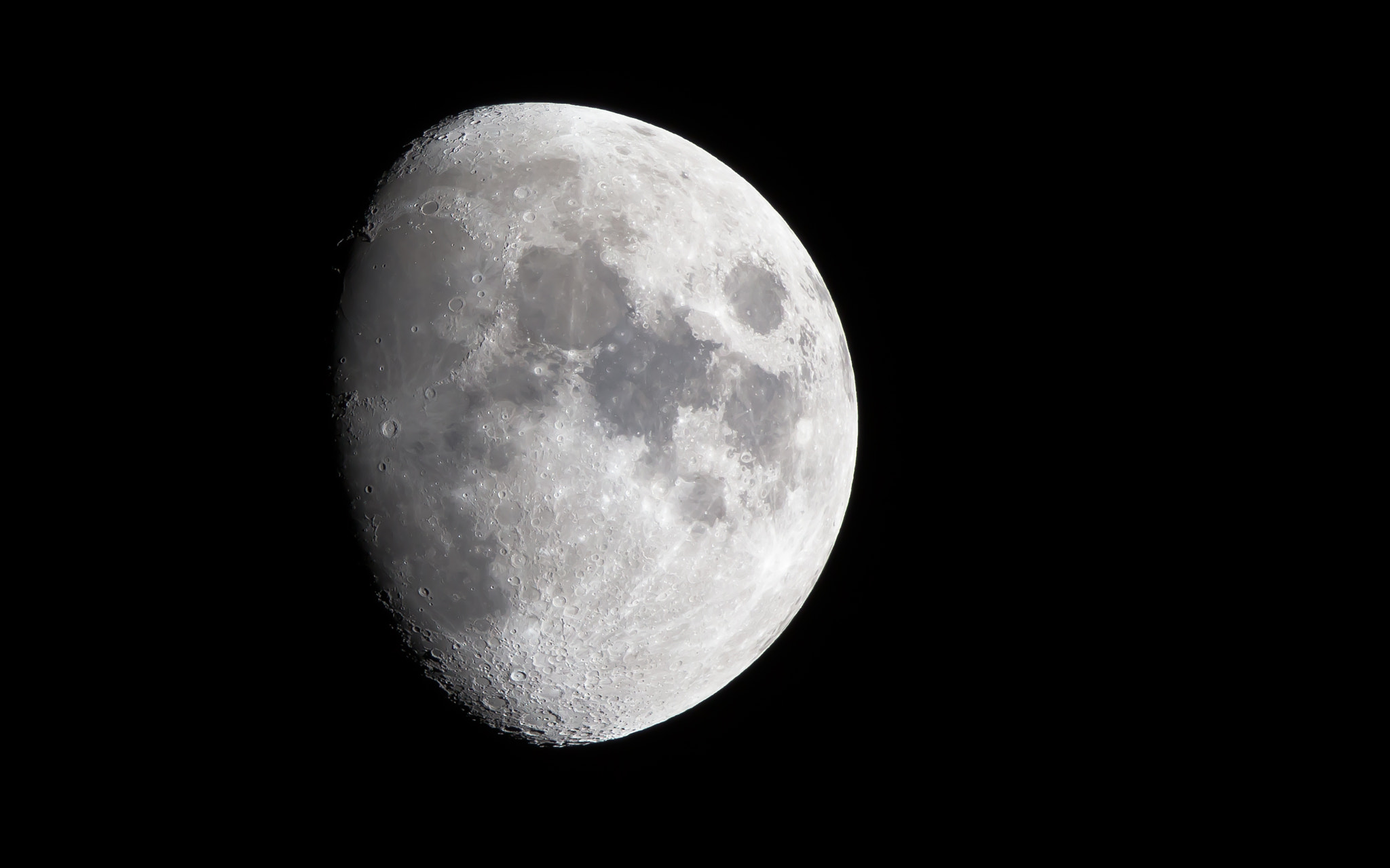Canon EF 500mm F4L IS II USM sample photo. Fascinante photography