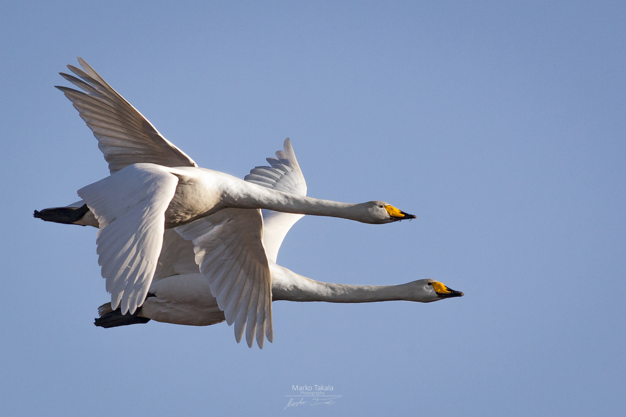 Canon EOS 5D Mark II + Canon EF 400mm F5.6L USM sample photo. Race photography