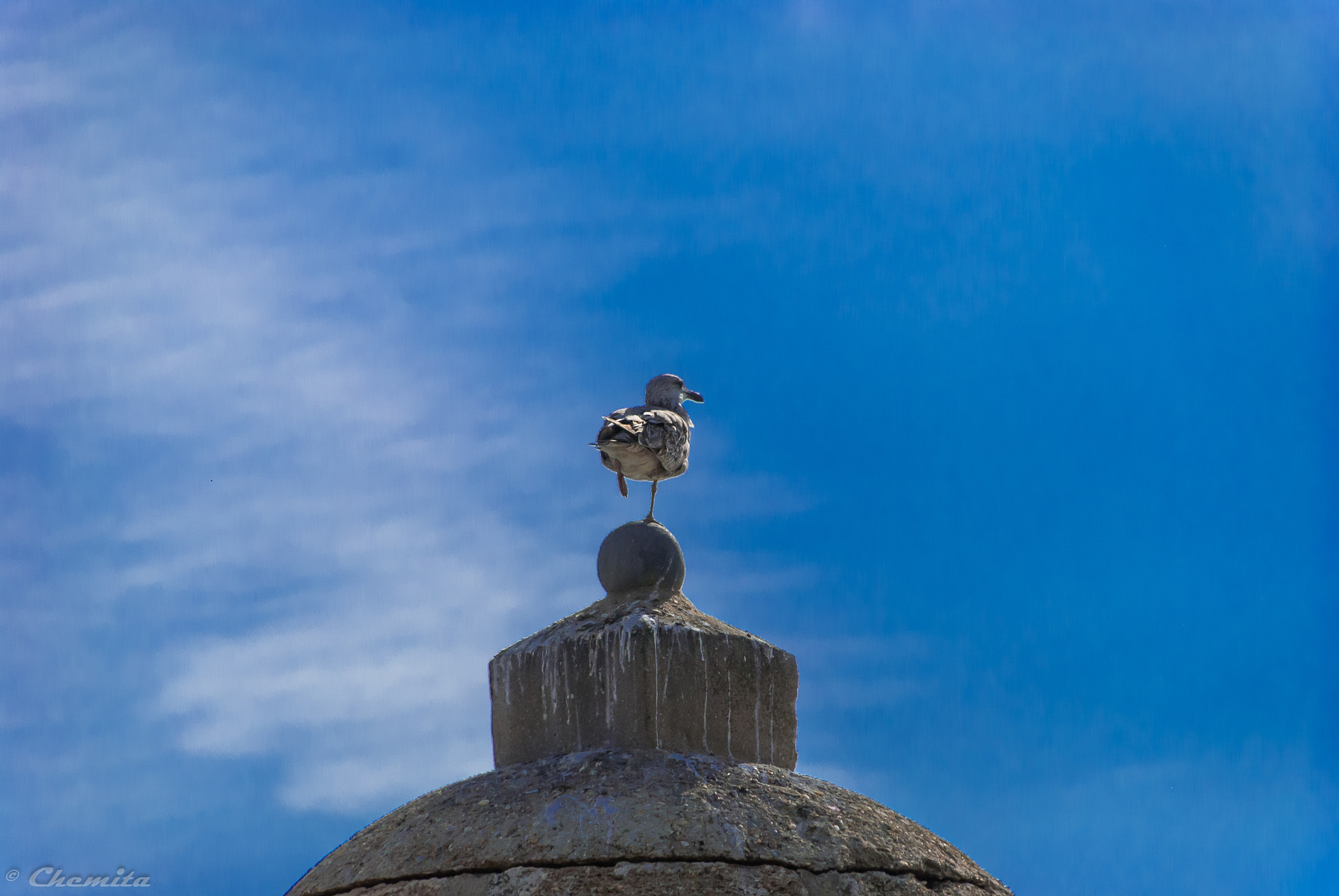 Nikon D60 sample photo. 26032016-dsc_0254.jpg photography