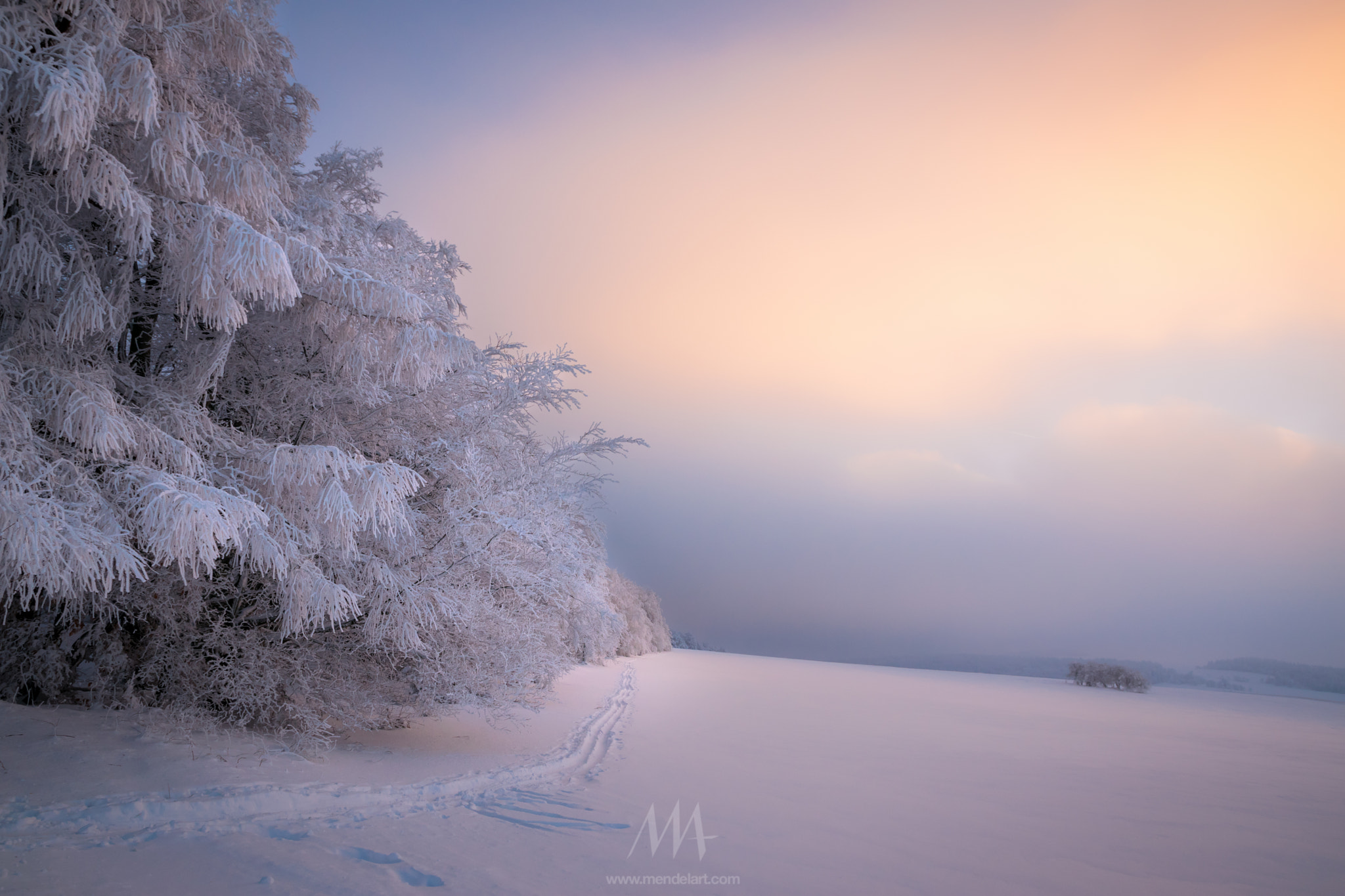 Sigma 17-70mm F2.8-4 DC Macro OS HSM | C sample photo. Winter light photography