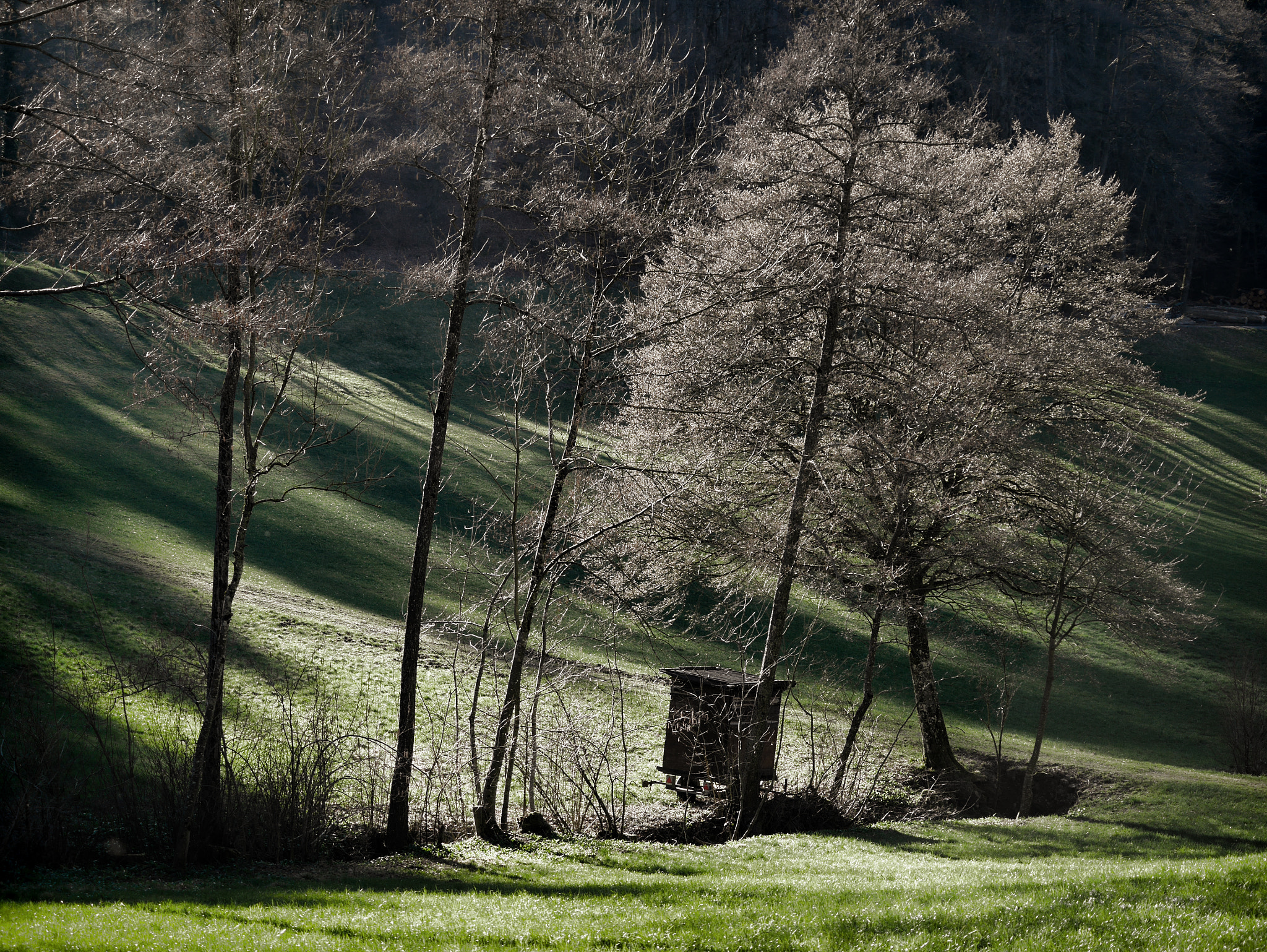 Panasonic Lumix DMC-GM5 sample photo. Licht und schatten photography