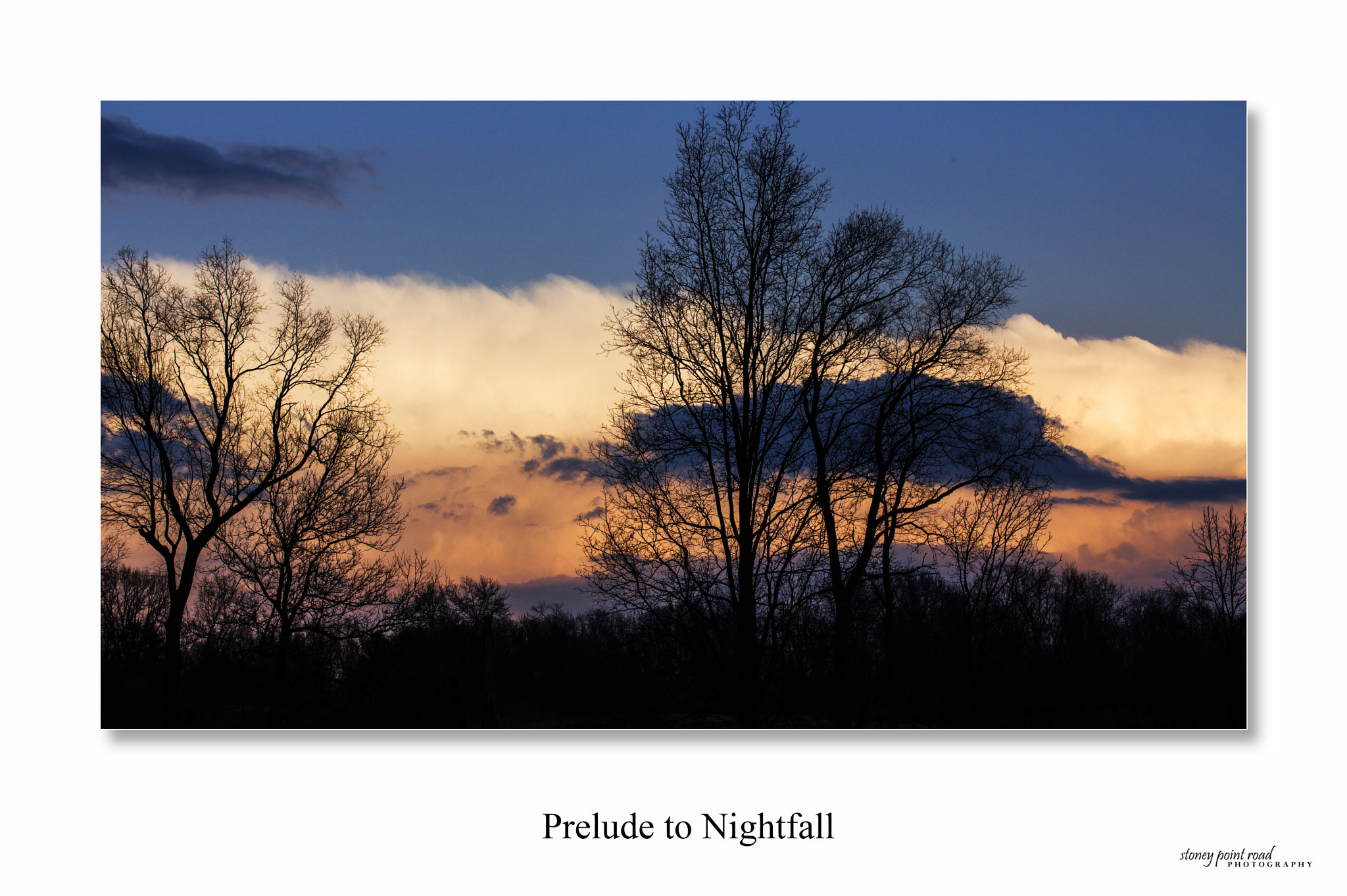 Canon EF-S 60mm F2.8 Macro USM sample photo. Prelude to nightfall photography