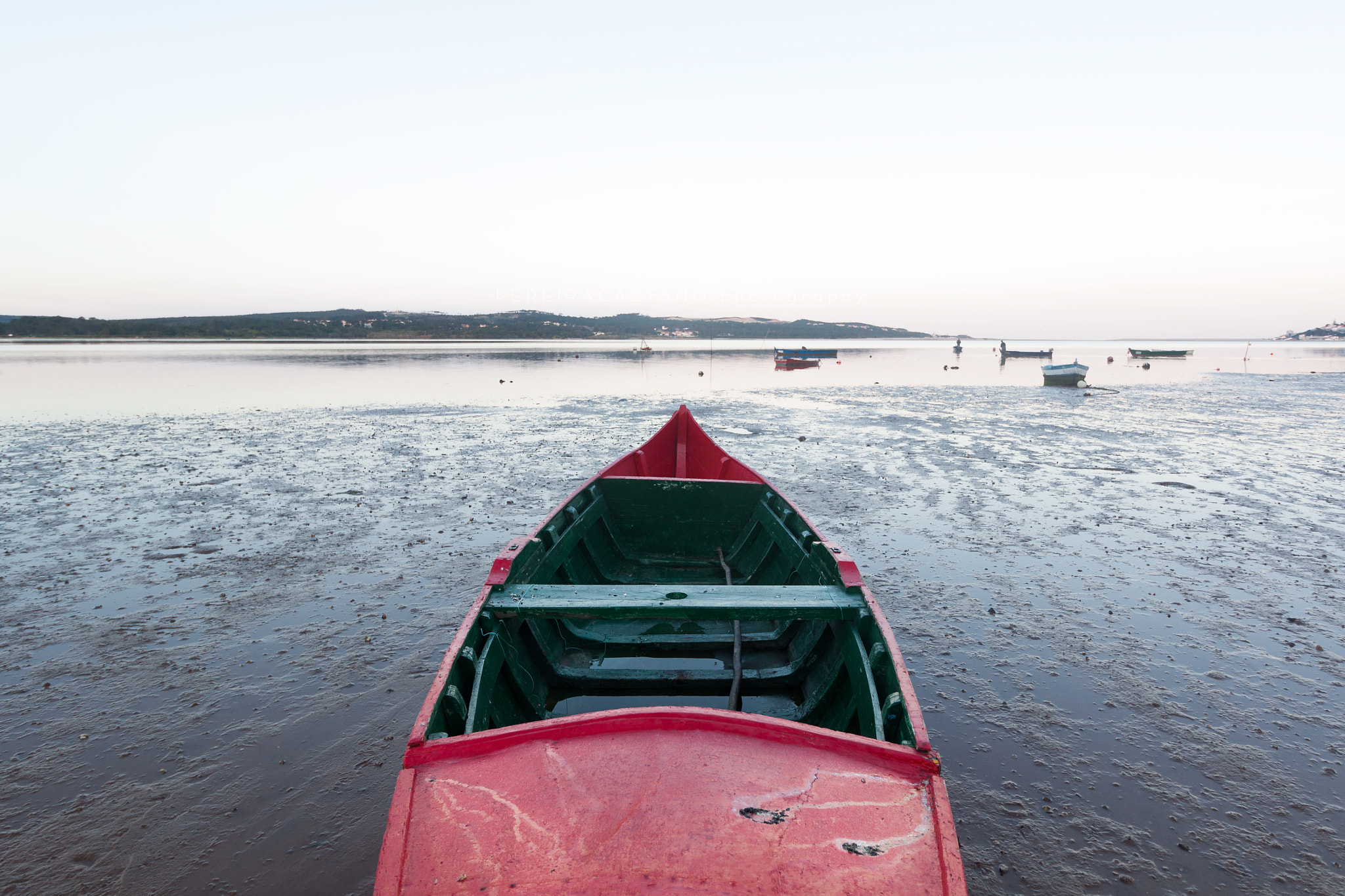 Canon EF-S 10-18mm F4.5–5.6 IS STM sample photo. Shall we go for a ride? photography