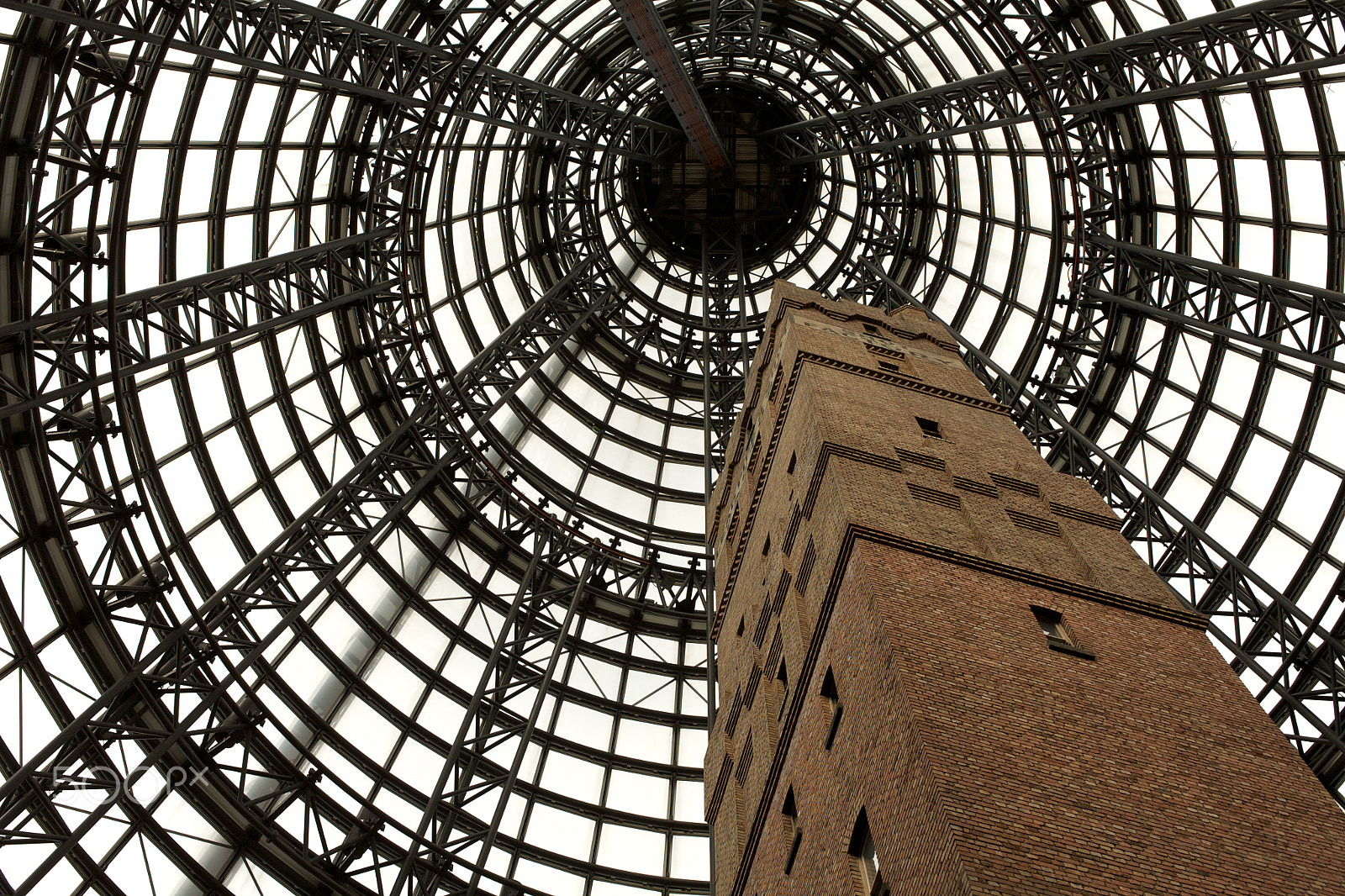 Canon EOS 5D + Canon EF 50mm F2.5 Macro sample photo. Melbourne, city photography