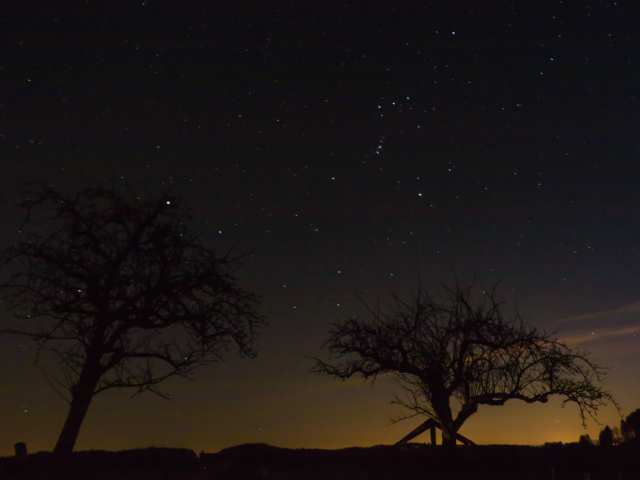 Panasonic Lumix DMC-G6 sample photo. Trees and stars photography