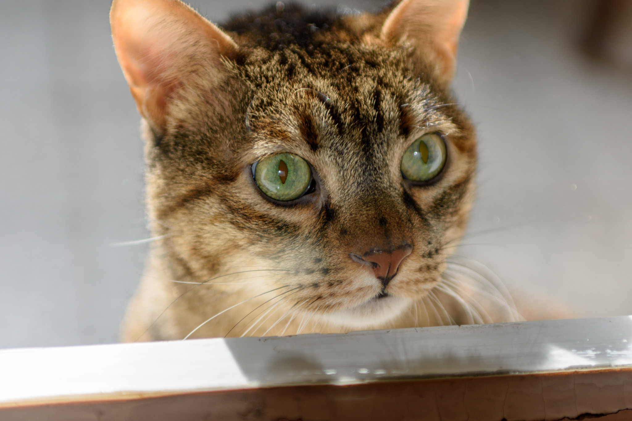 Nikon D7200 + Sigma 24-70mm F2.8 EX DG Macro sample photo. Maska 2 photography