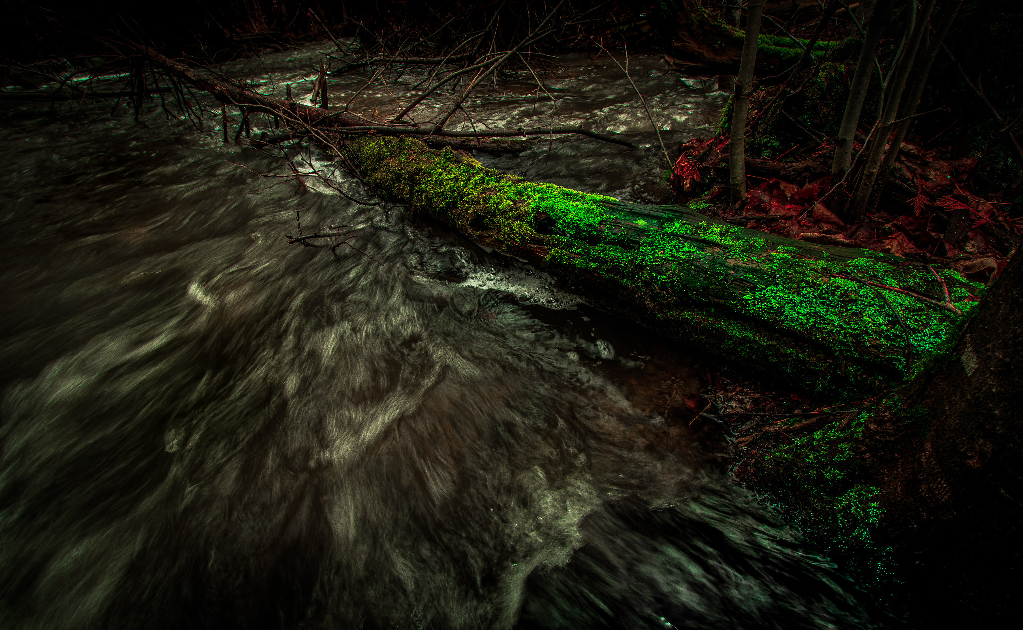 Canon EF-S 10-18mm F4.5–5.6 IS STM sample photo. Eerie calm photography