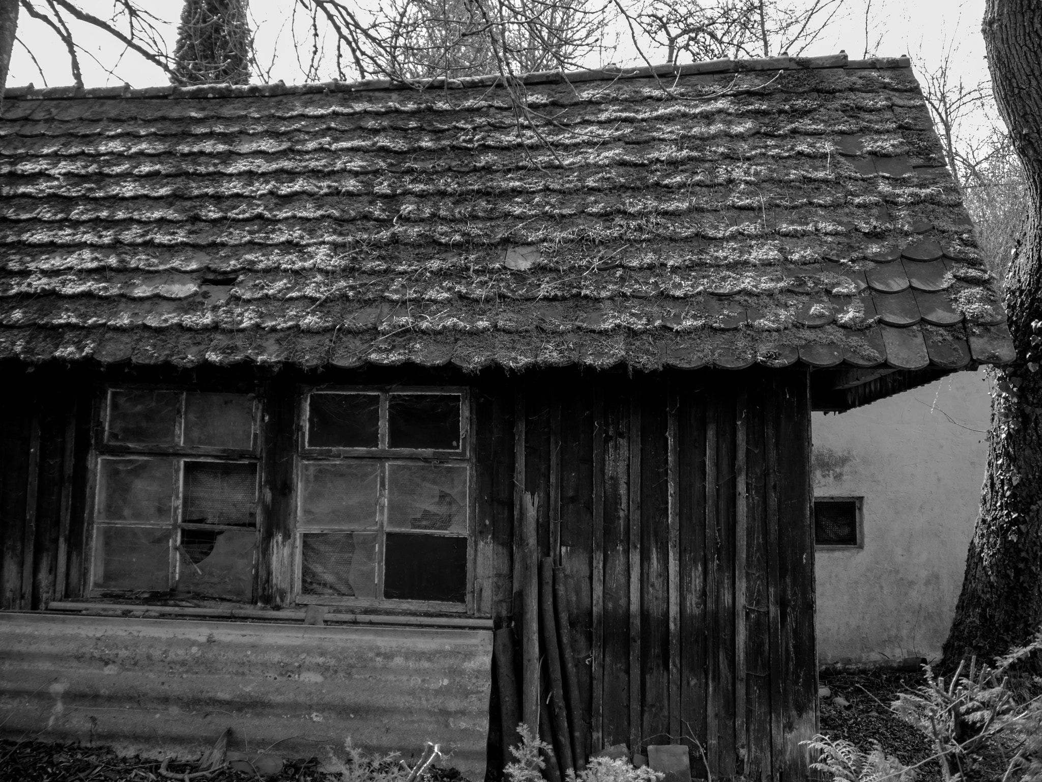Panasonic Lumix DMC-G6 sample photo. Old house photography