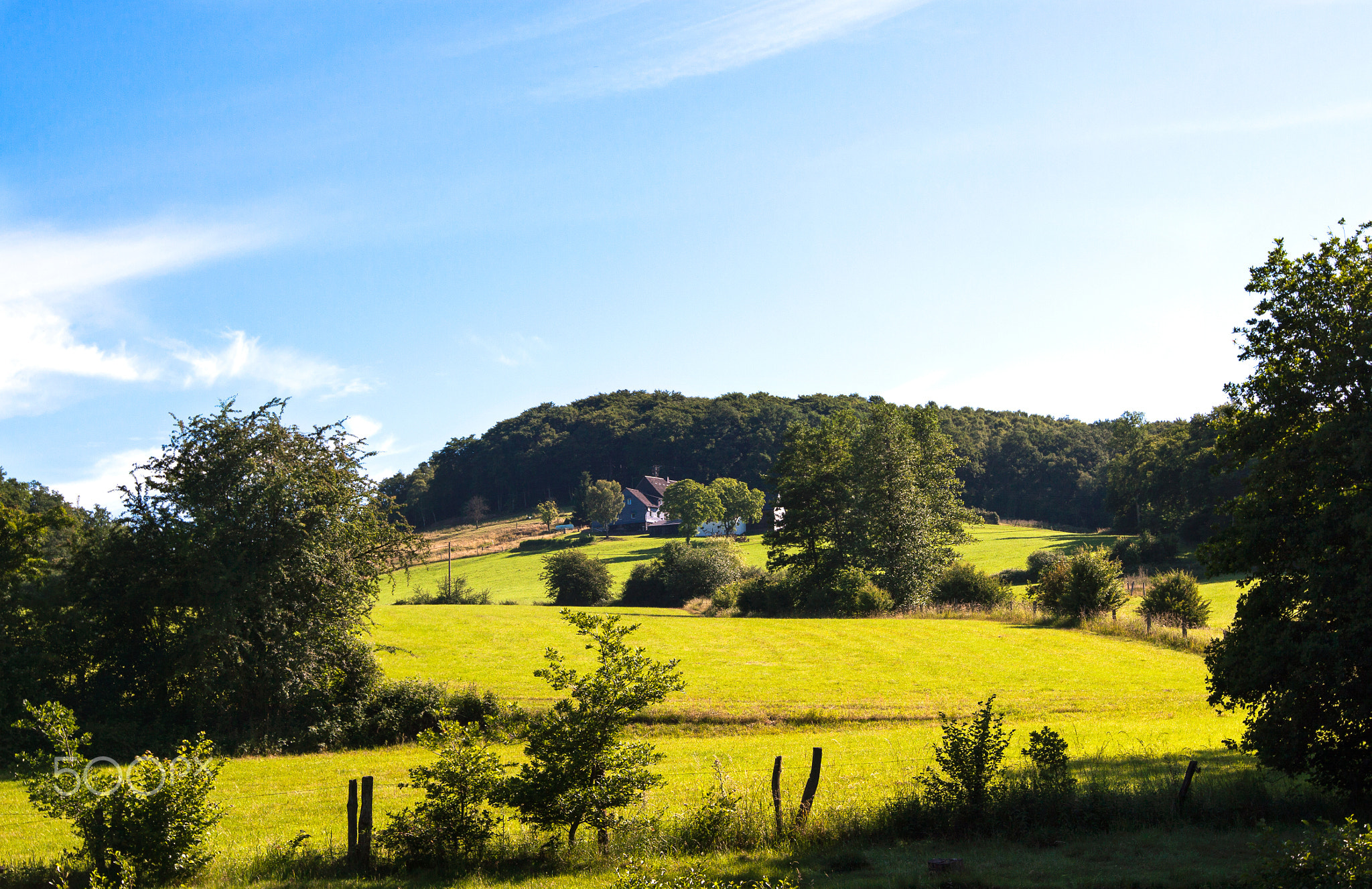 Green Field Country Lane Leading to a Farmhouse