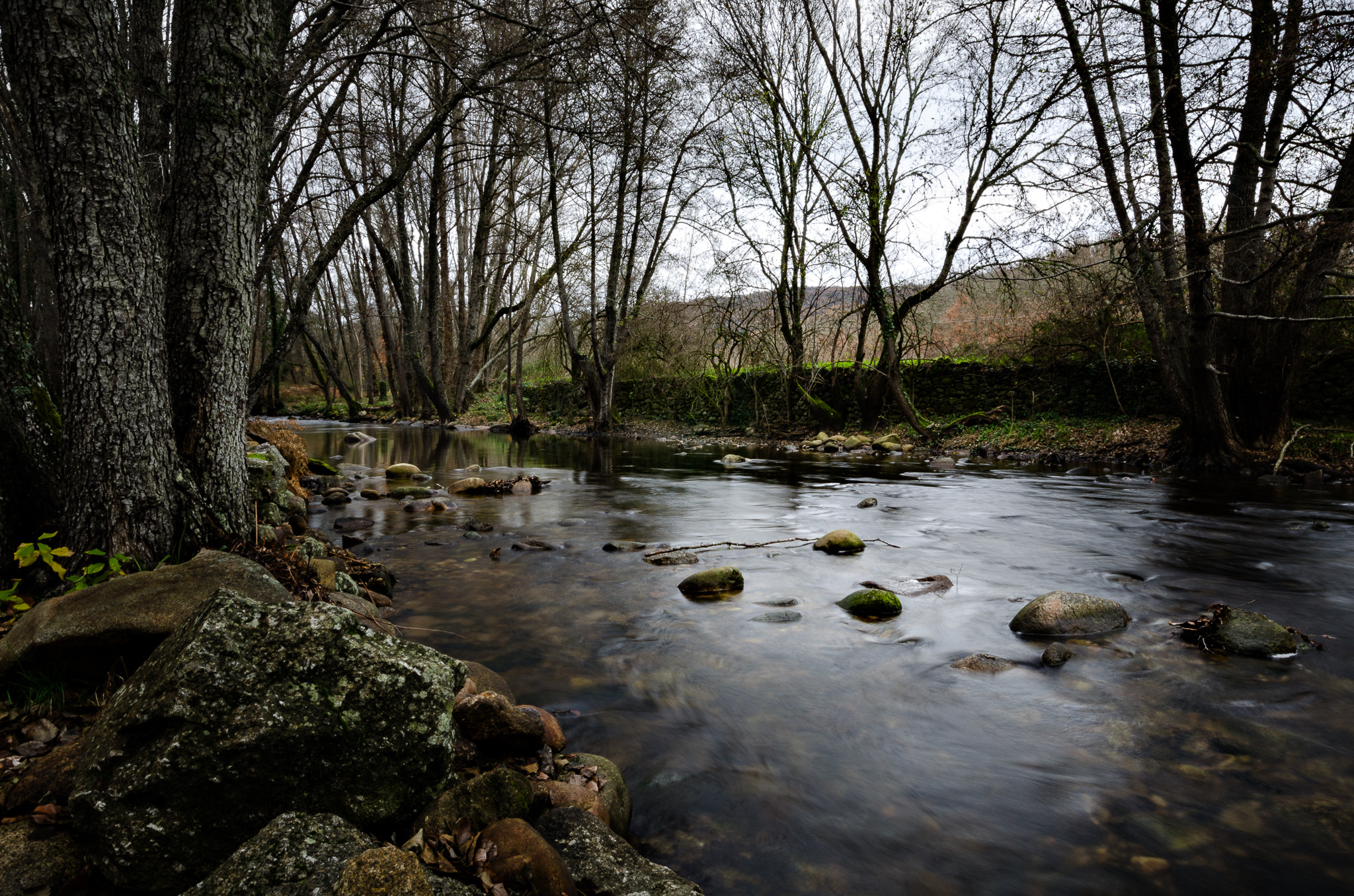 Nikon AF-S Nikkor 14-24mm F2.8G ED sample photo