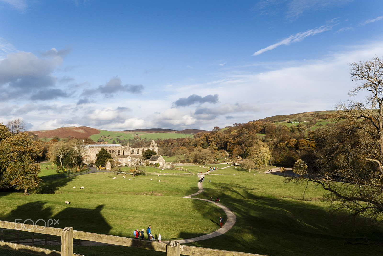 Sigma AF 10-20mm F4-5.6 EX DC sample photo. Bolton abbey, autumn photography