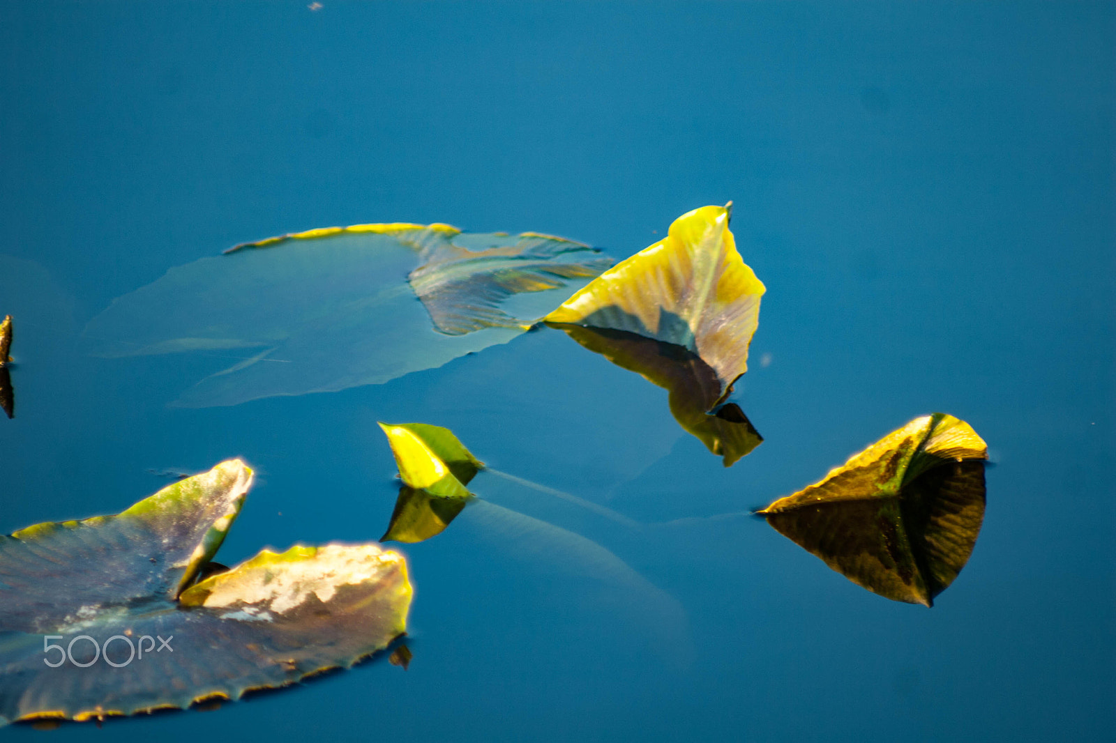 Canon EOS 30D + Canon EF 100-200mm f/4.5A sample photo. Simplicity photography