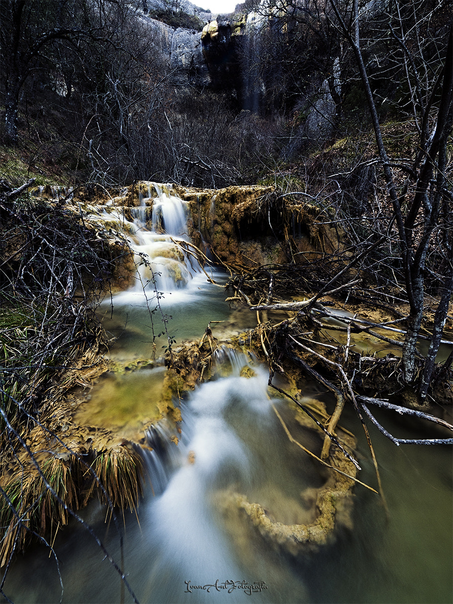 OLYMPUS  7-14mm Lens sample photo. "it stops trying to channel your life" photography