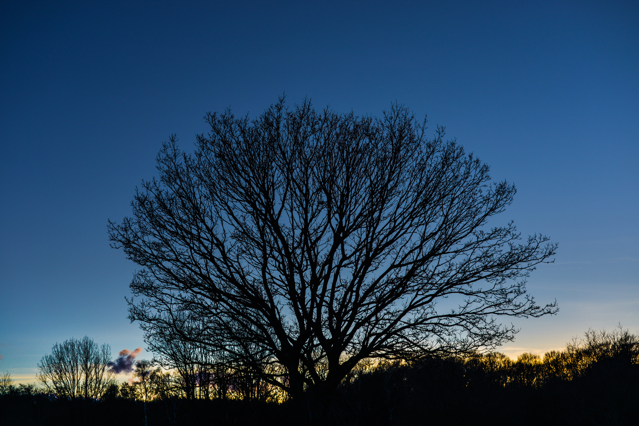 Nikon D800E + Nikon AF Nikkor 50mm F1.8D sample photo. Blue time photography