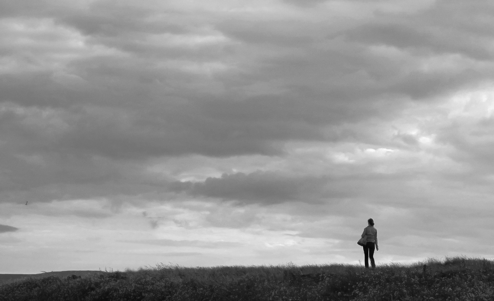 Olympus E-520 (EVOLT E-520) + SIGMA 18-50mm F2.8 DC sample photo. Embracing the loneliness-2 photography