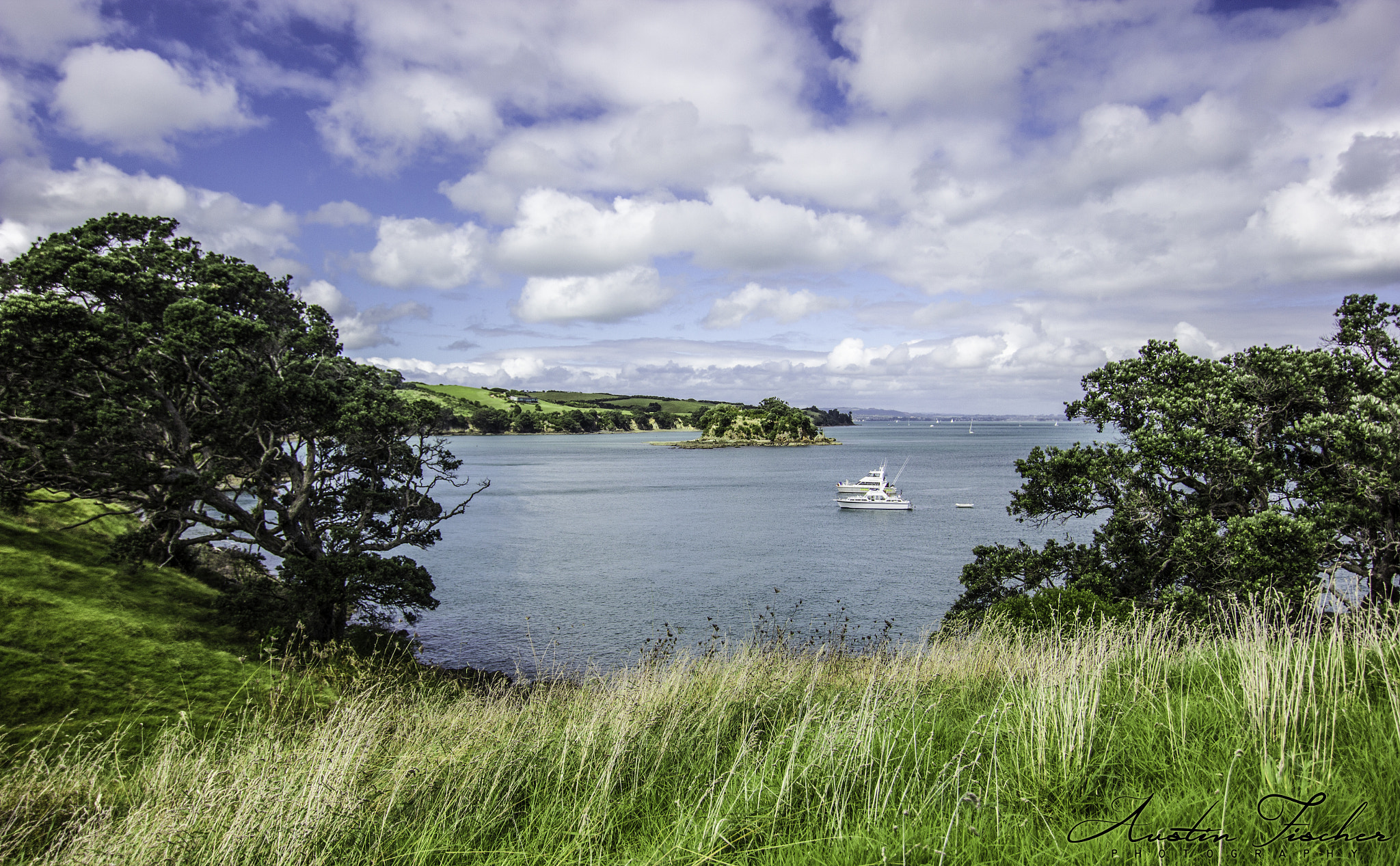 Canon EOS 550D (EOS Rebel T2i / EOS Kiss X4) sample photo. Waiheke serenity photography