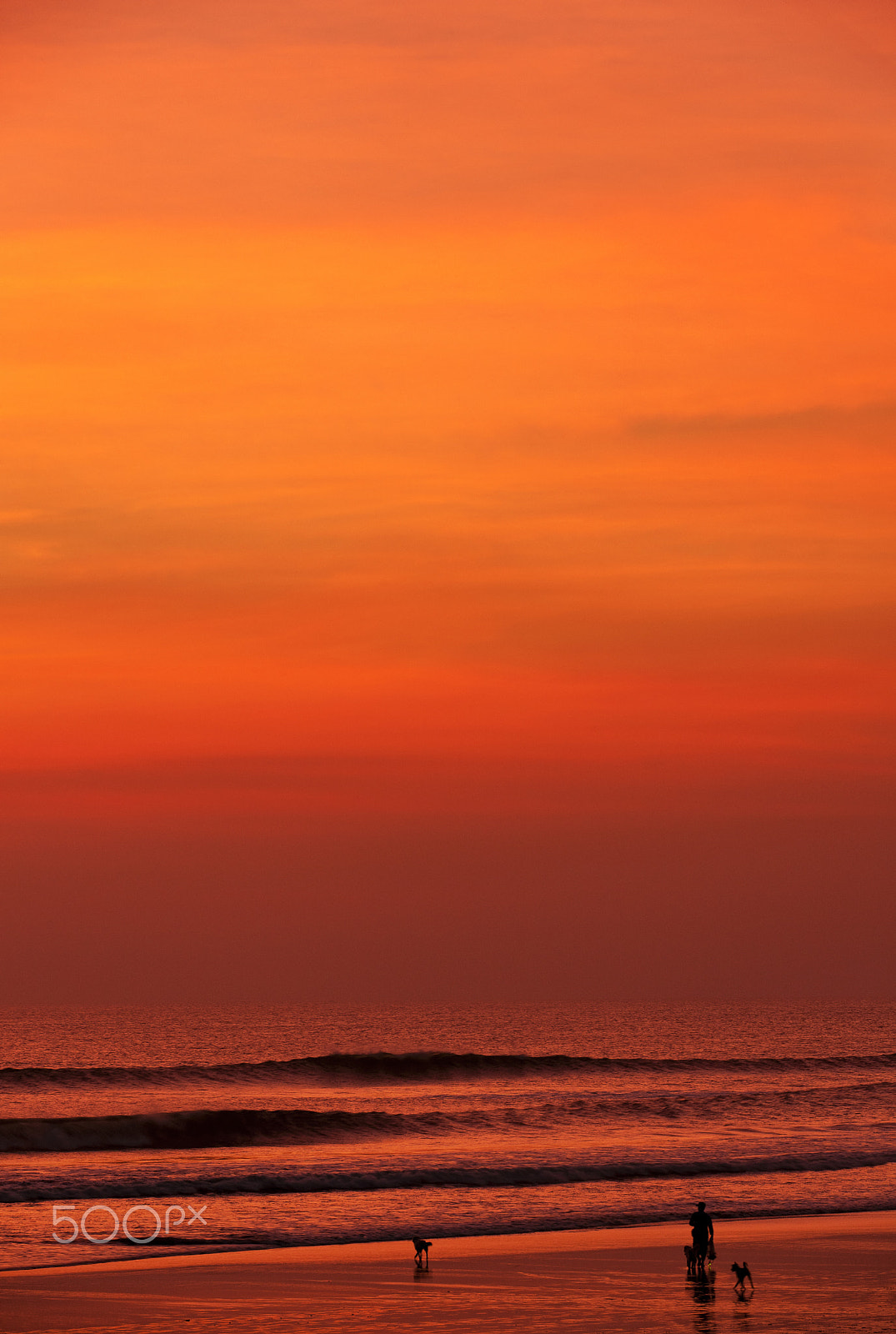 Canon EOS-1Ds Mark III sample photo. At sunset photography