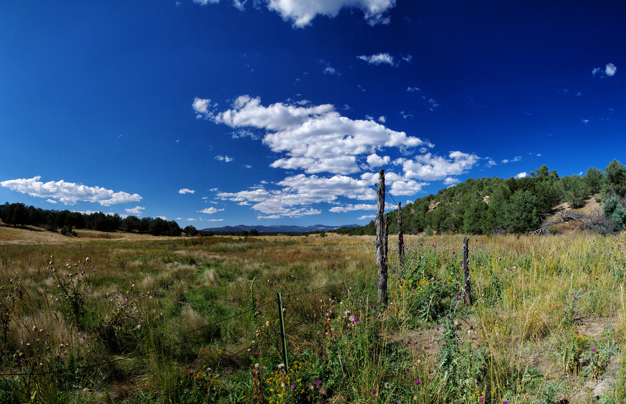 Pentax smc DA 14mm F2.8 ED (IF) sample photo. Untitled panorama photography