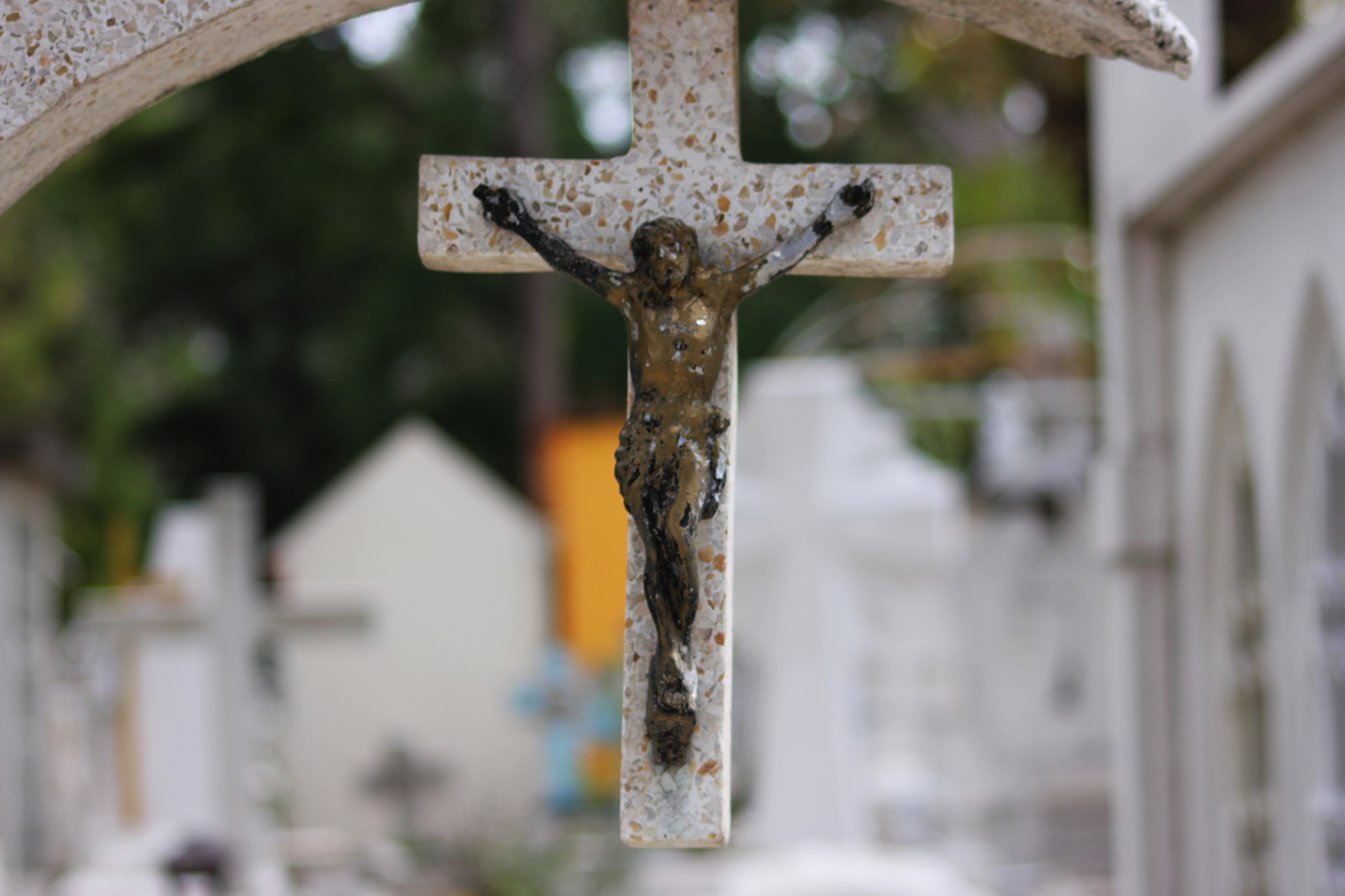 Canon EOS 550D (EOS Rebel T2i / EOS Kiss X4) sample photo. Cruz photography