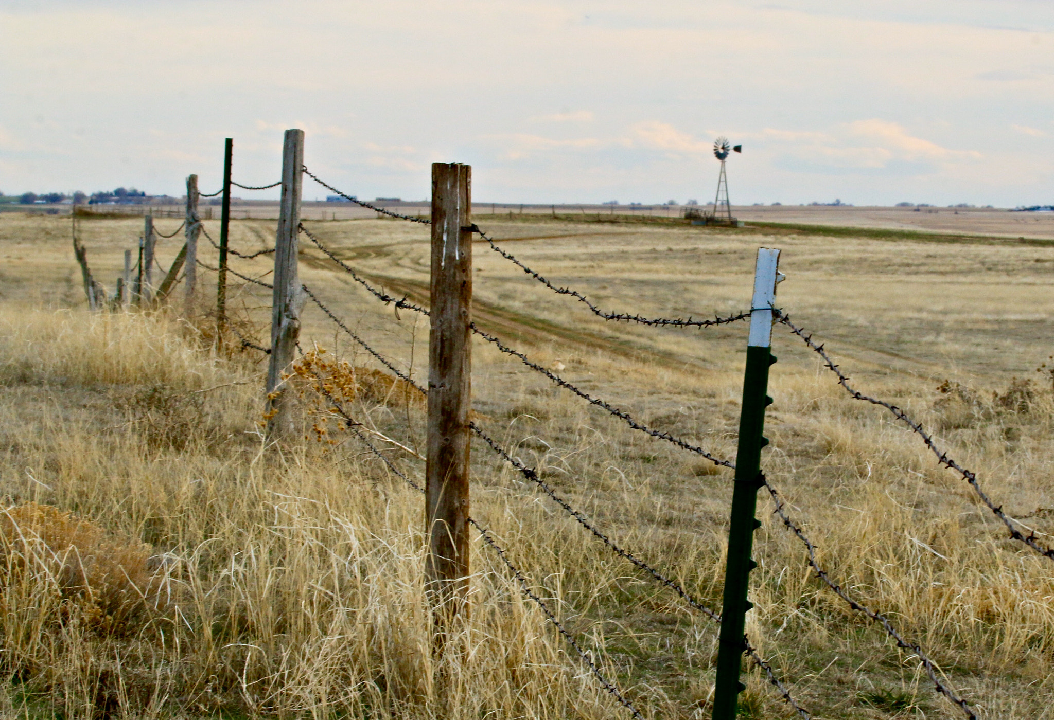 Canon EF 100-400mm F4.5-5.6L IS USM sample photo. Prairie fence posts photography