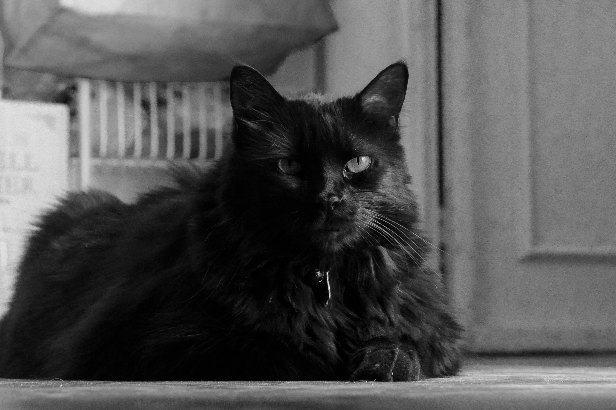 AF Zoom-Nikkor 35-80mm f/4-5.6D sample photo. Silent gaze photography