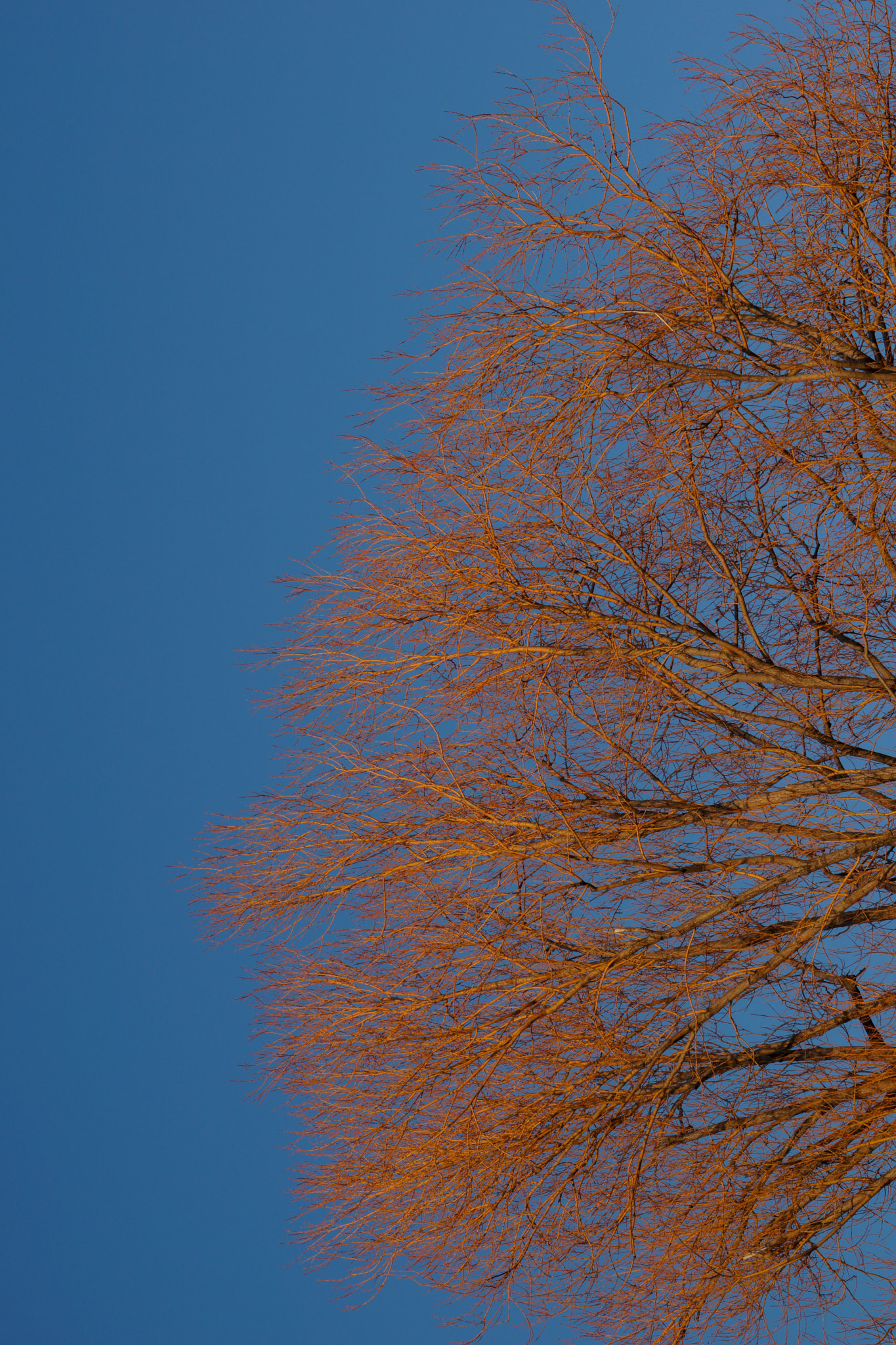 Sony a6000 + Sony FE 24-240mm F3.5-6.3 OSS sample photo. Sunset melody photography