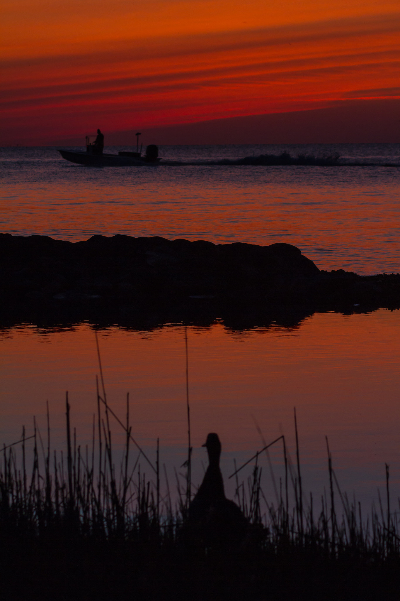 Canon EOS 7D + Canon EF 100-300mm f/5.6 sample photo. Watching the boat ride by photography