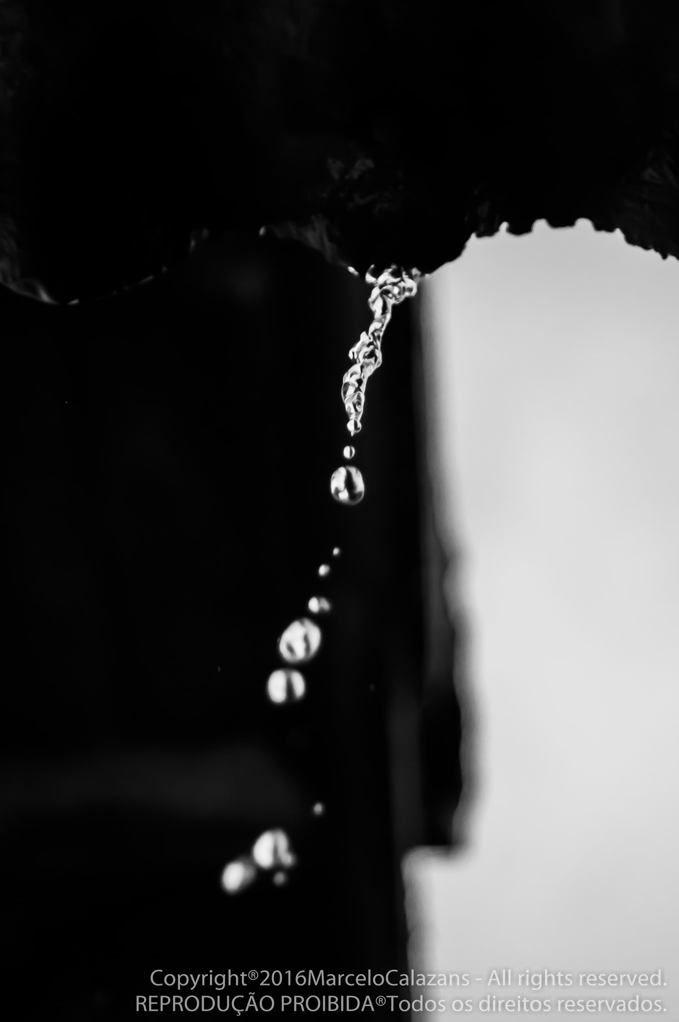 AF Zoom-Nikkor 28-70mm f/3.5-4.5D sample photo. Drops photography