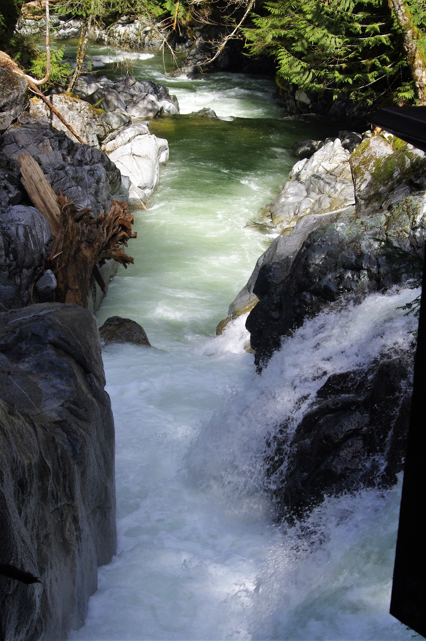Pentax K-r sample photo. Making a new riverbed photography