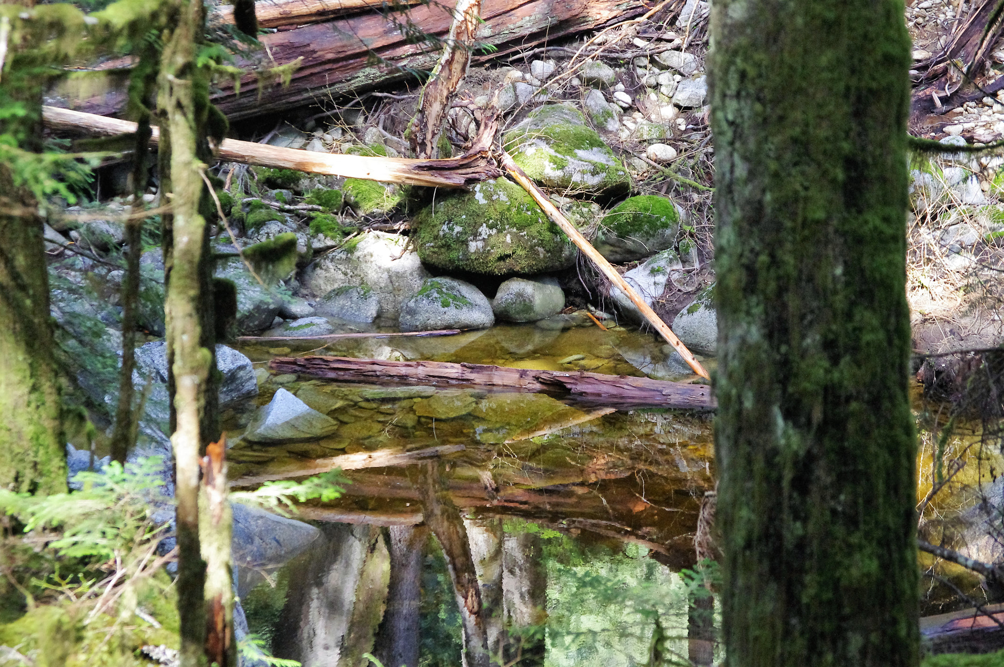 Pentax K-r sample photo. Still water photography